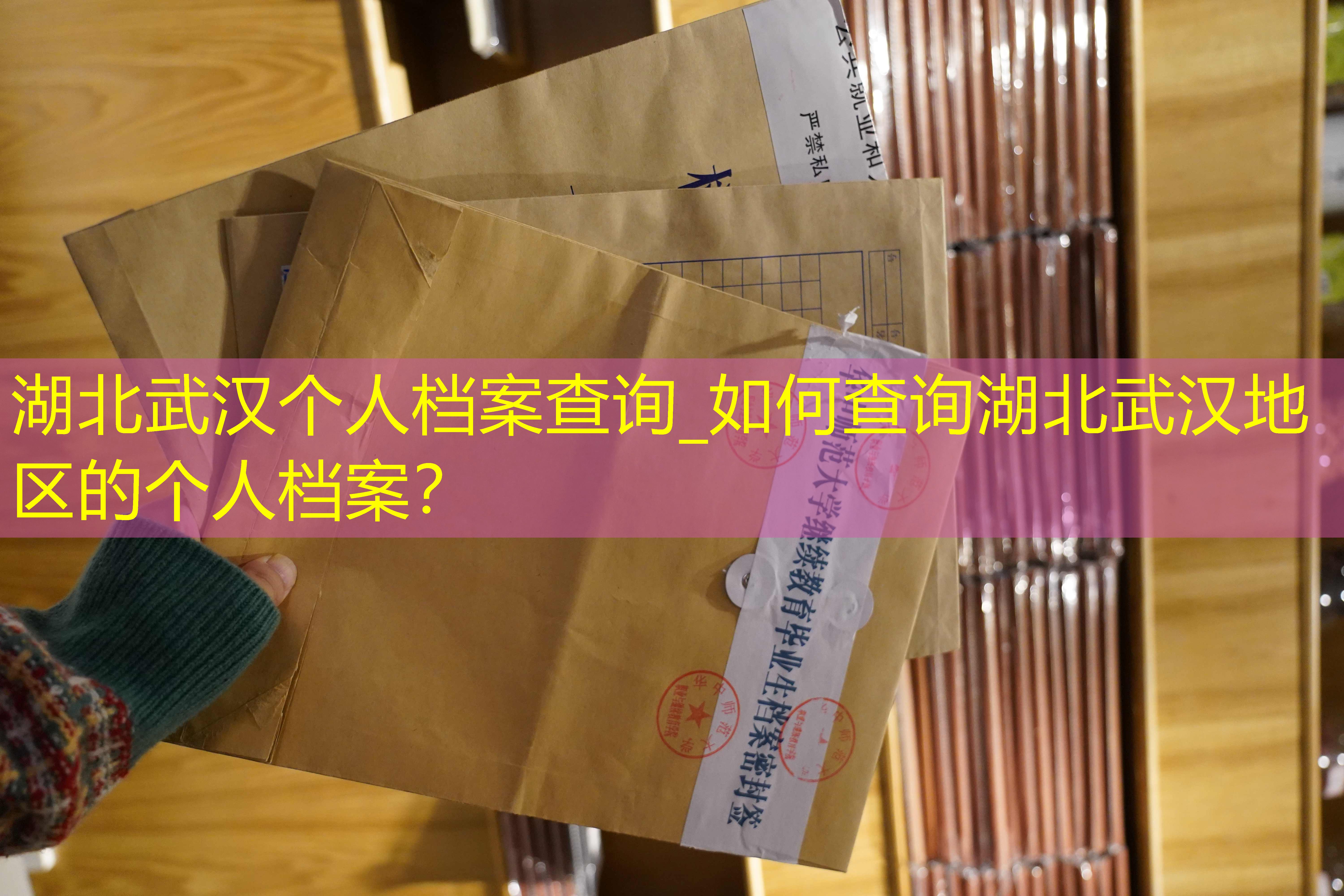 档案查询