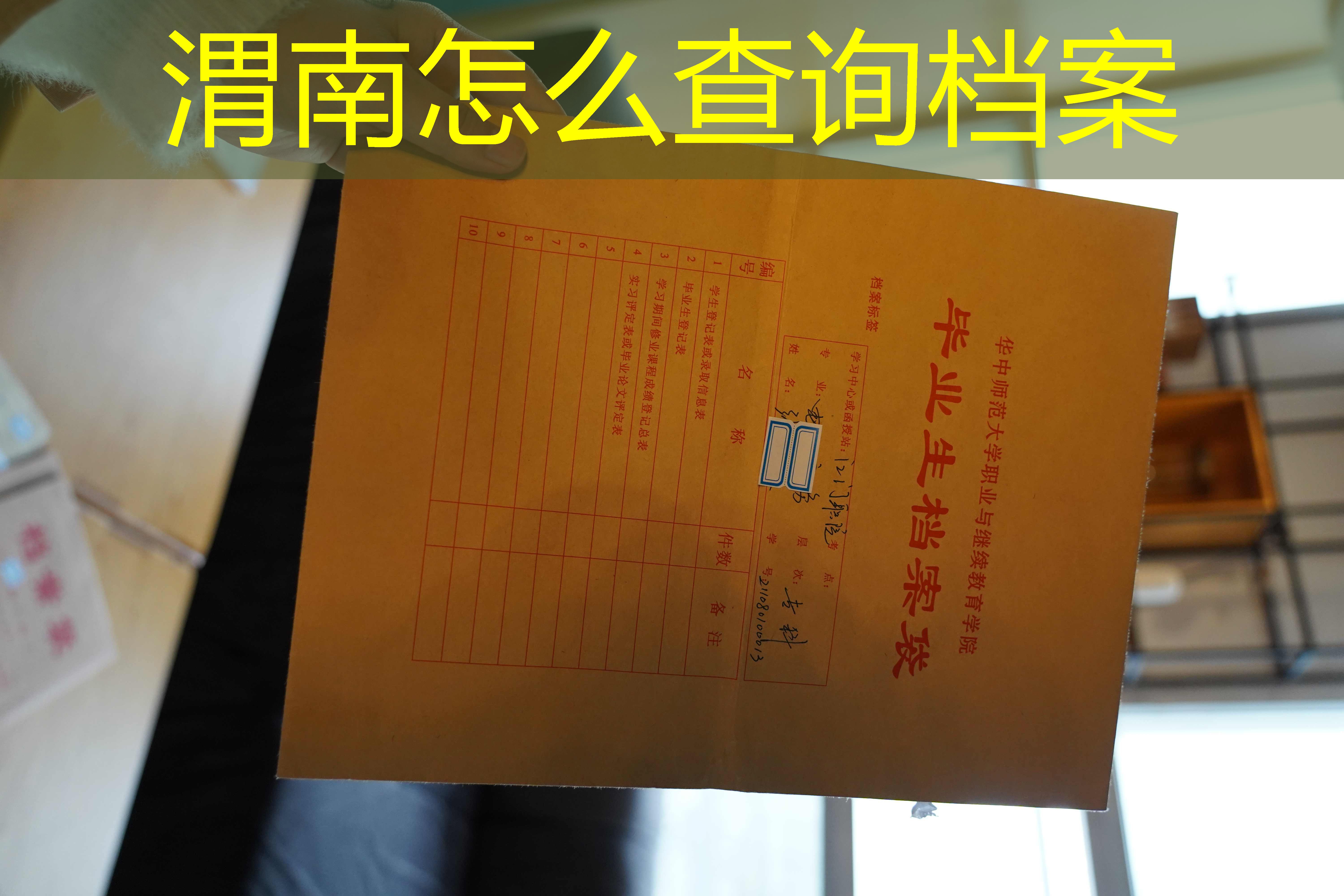 档案查询