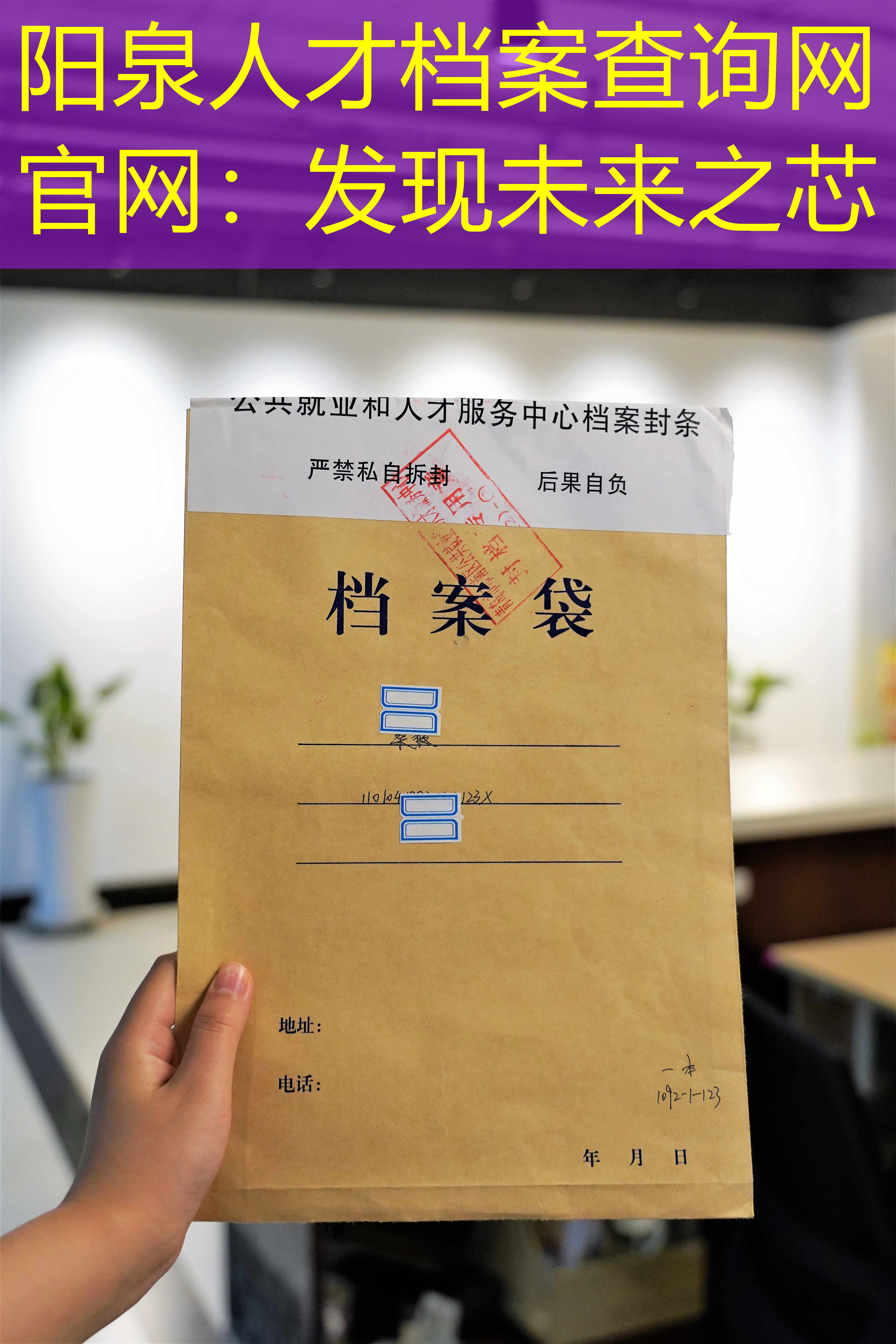 档案查询