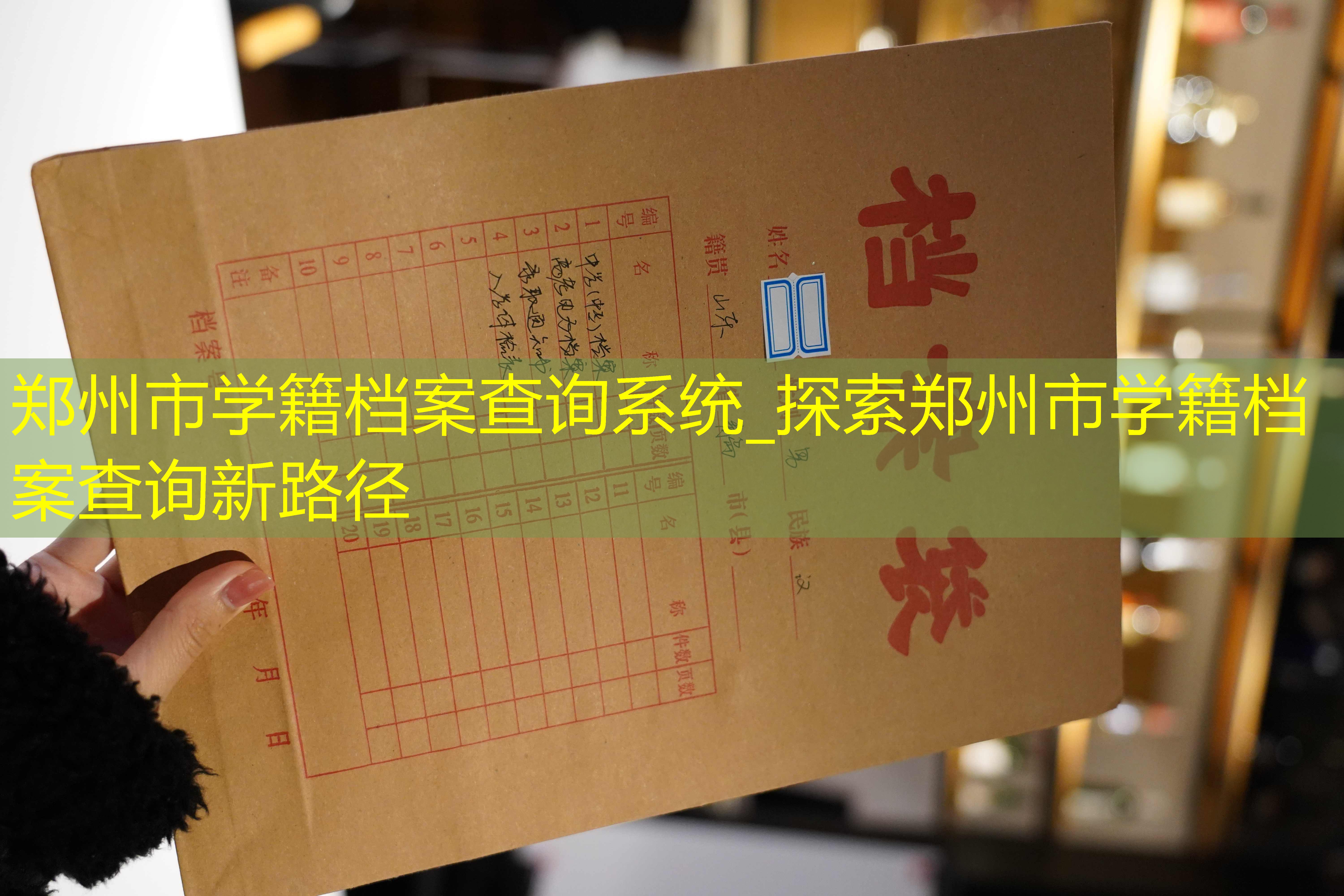 档案查询