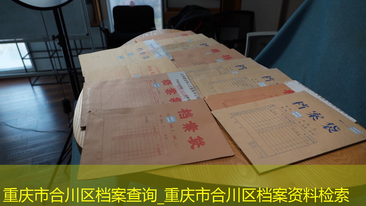 档案查询