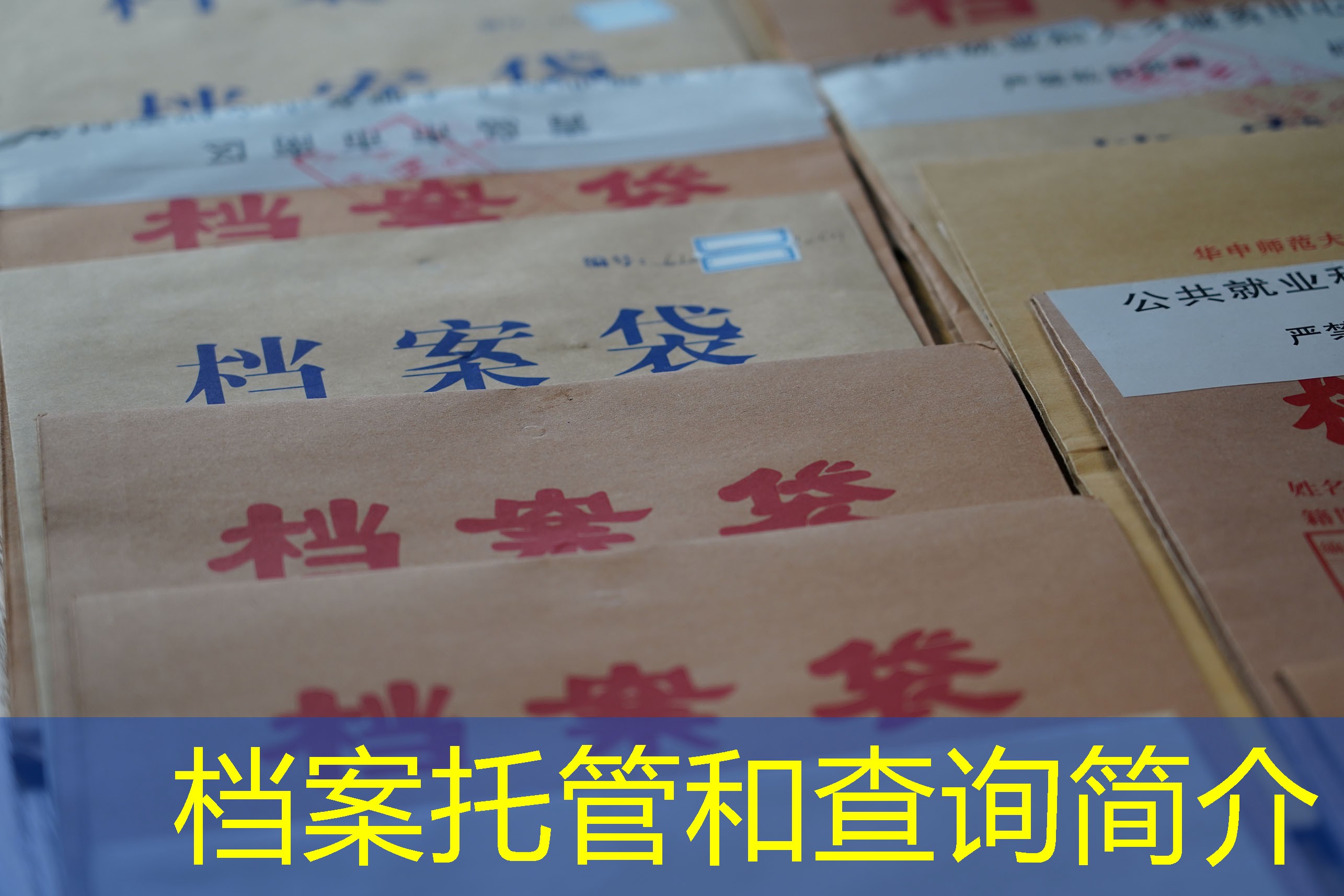 档案查询