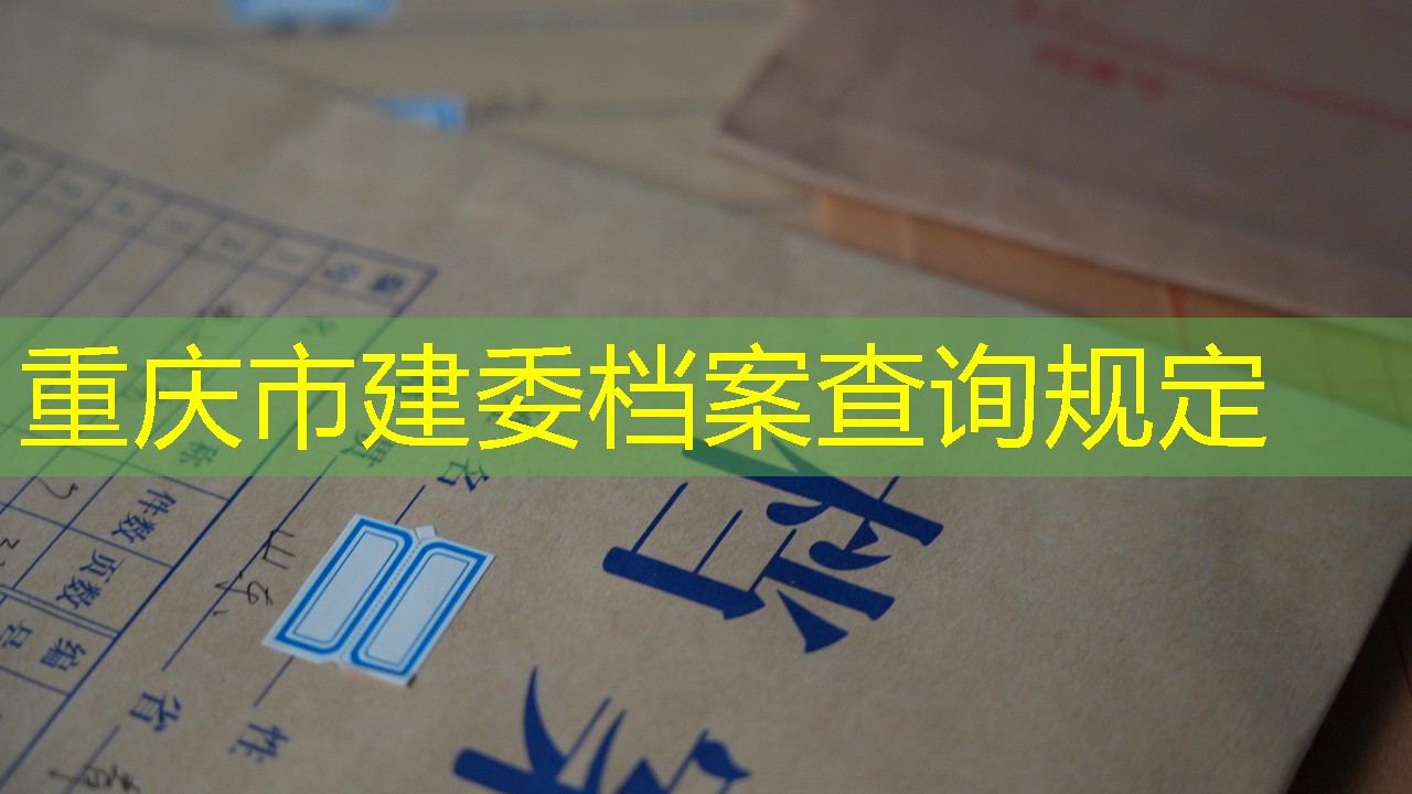 档案查询