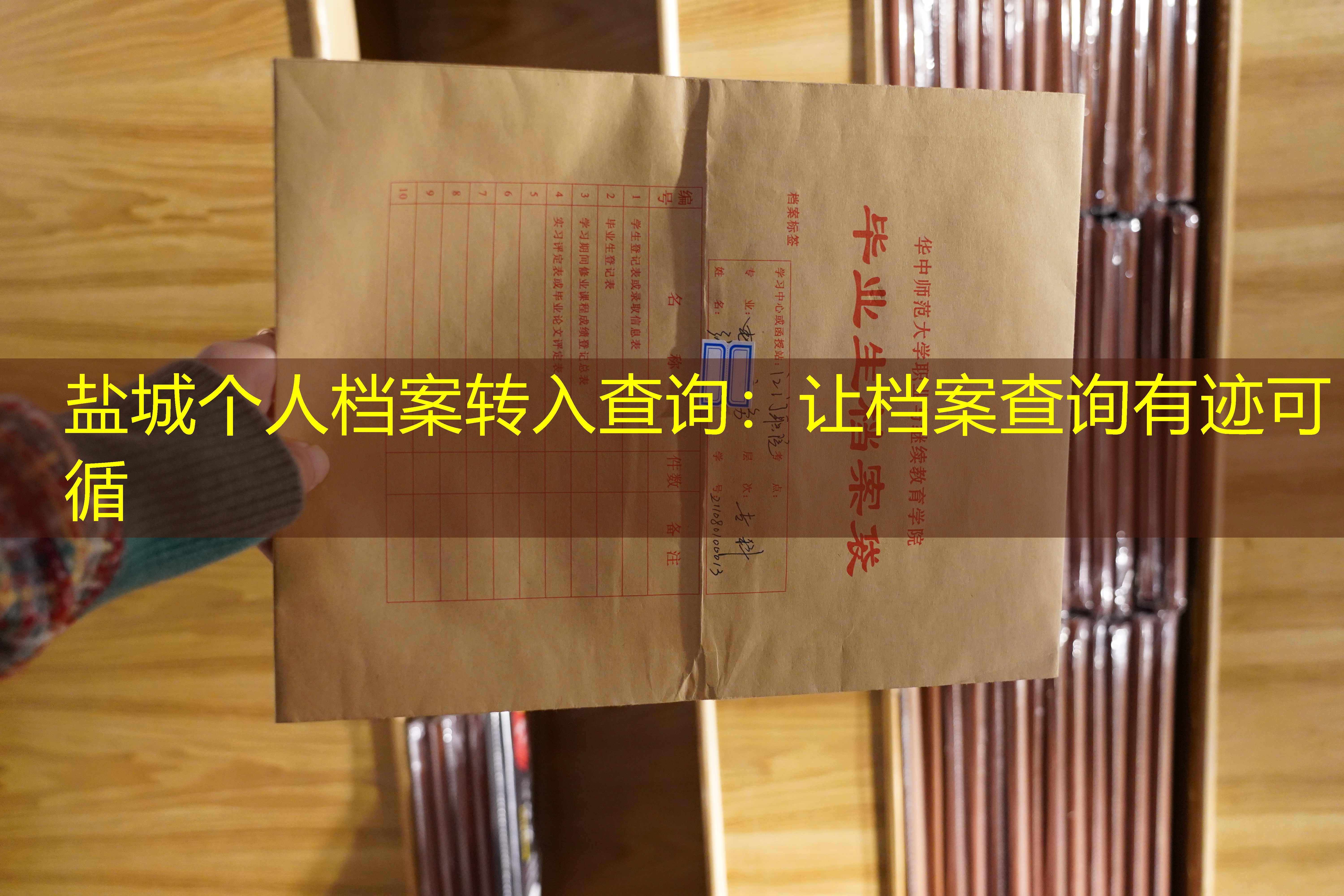 档案查询
