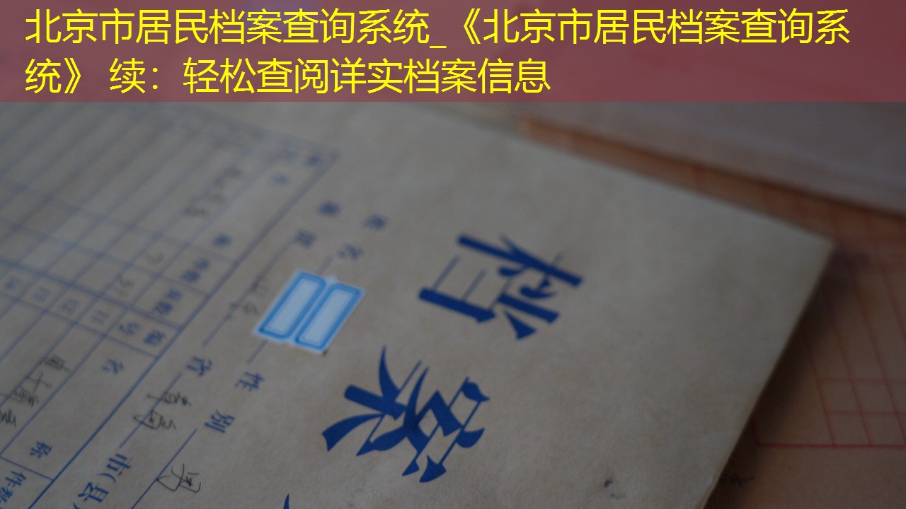 档案查询