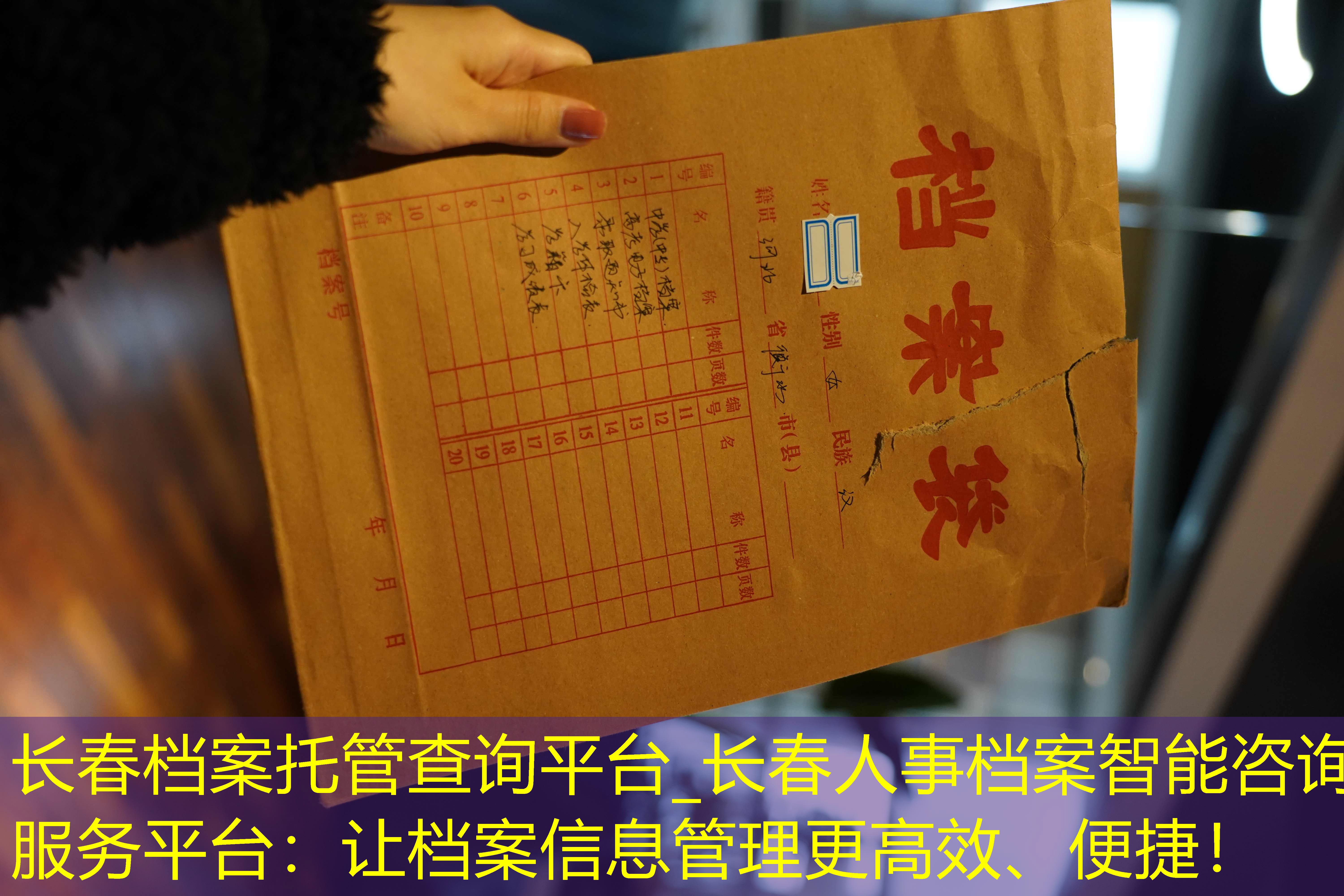 档案查询