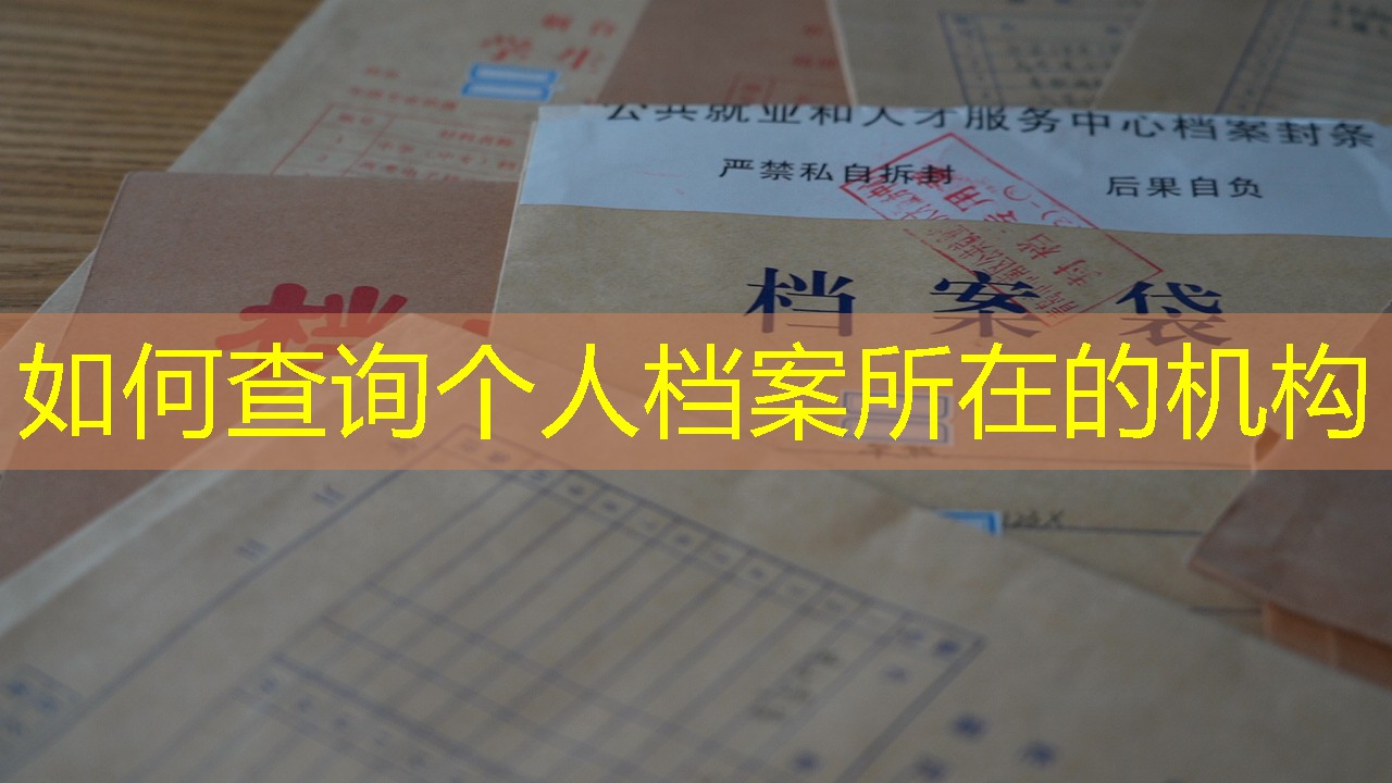 档案查询