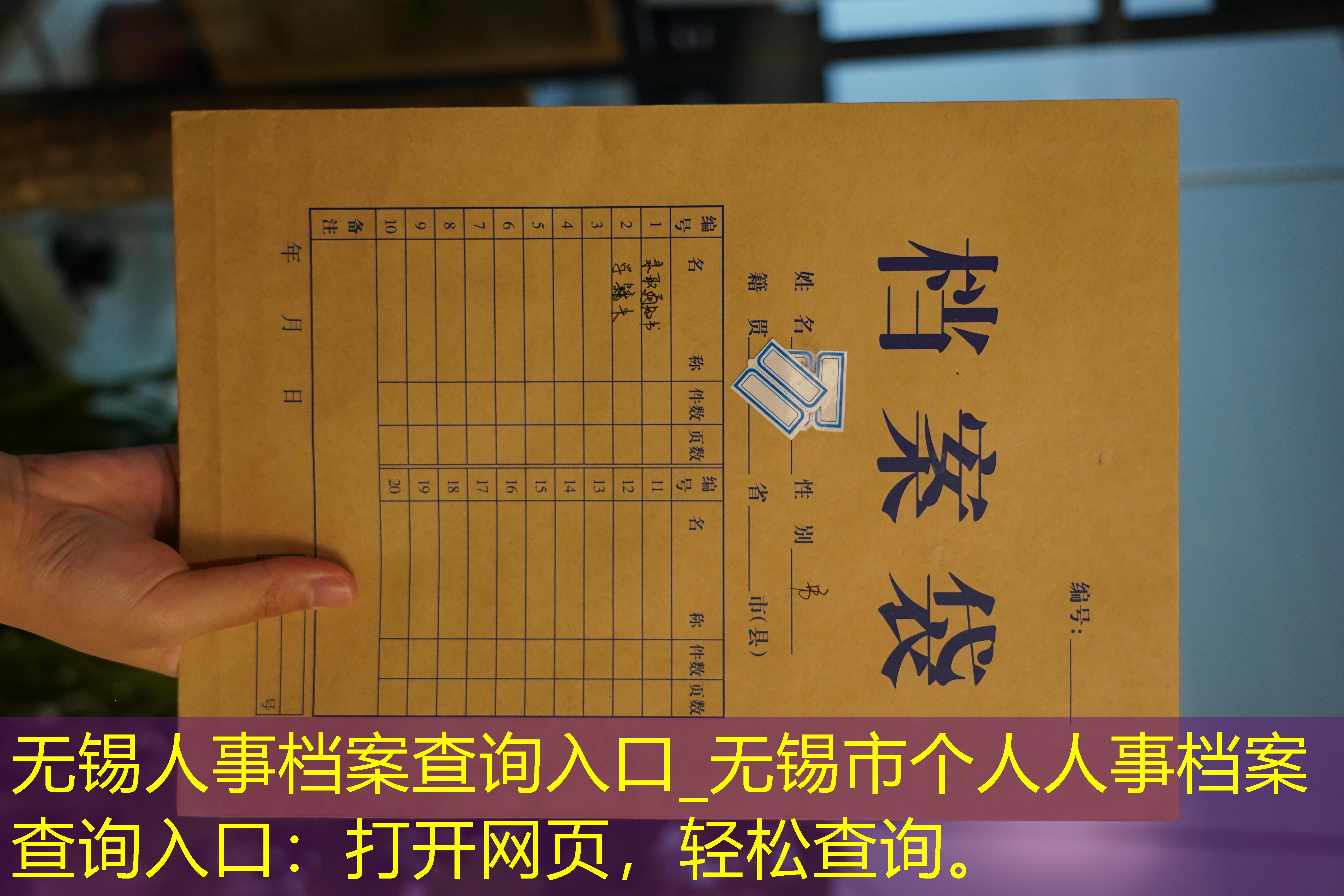 档案查询