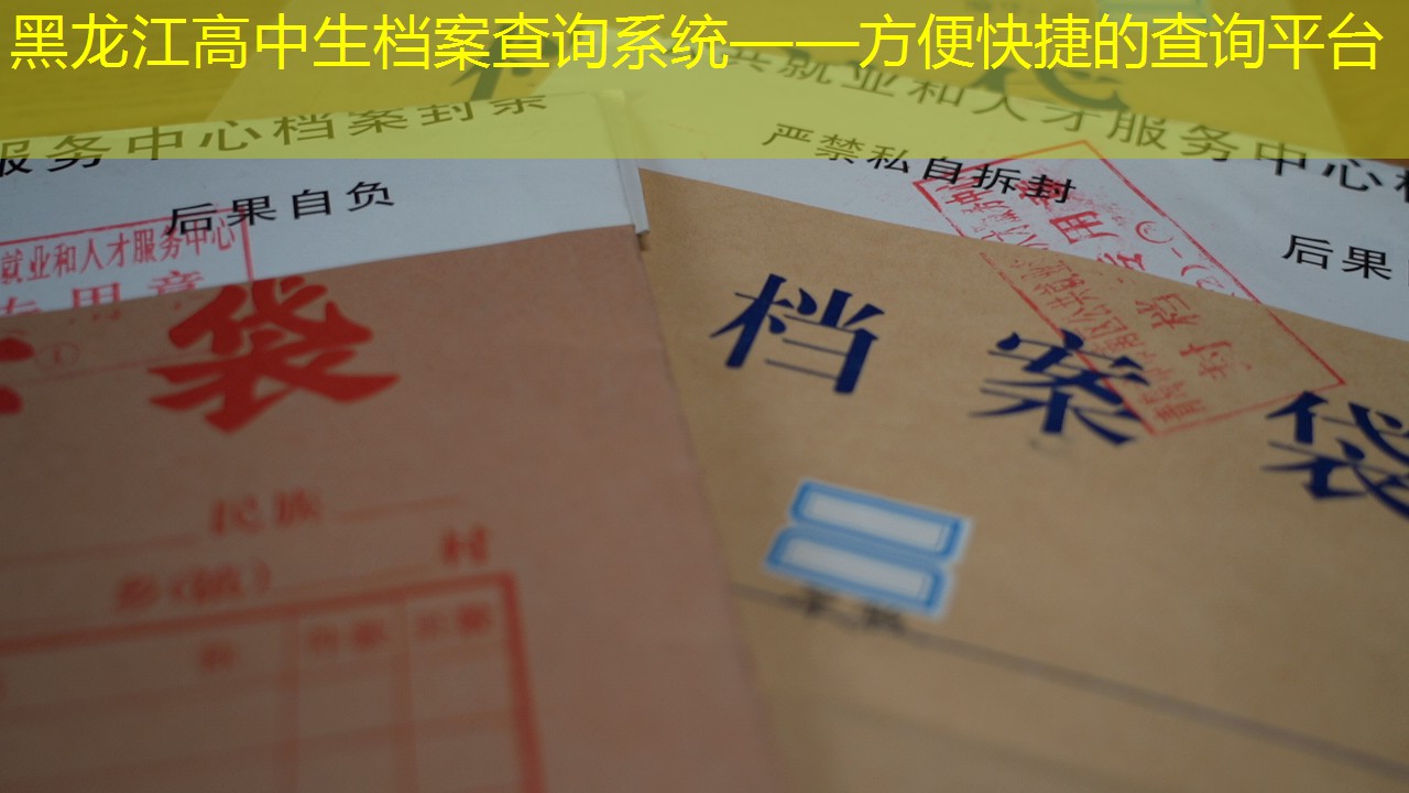 档案查询