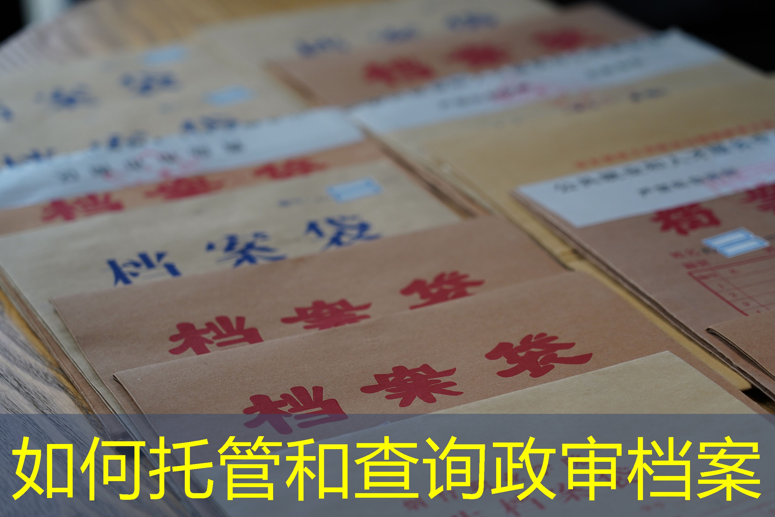 档案查询