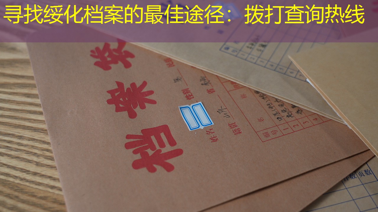 档案查询
