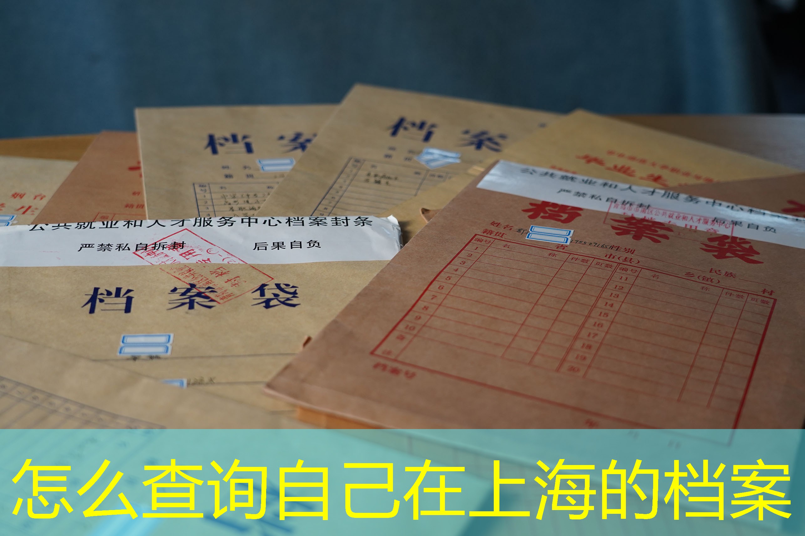 档案查询