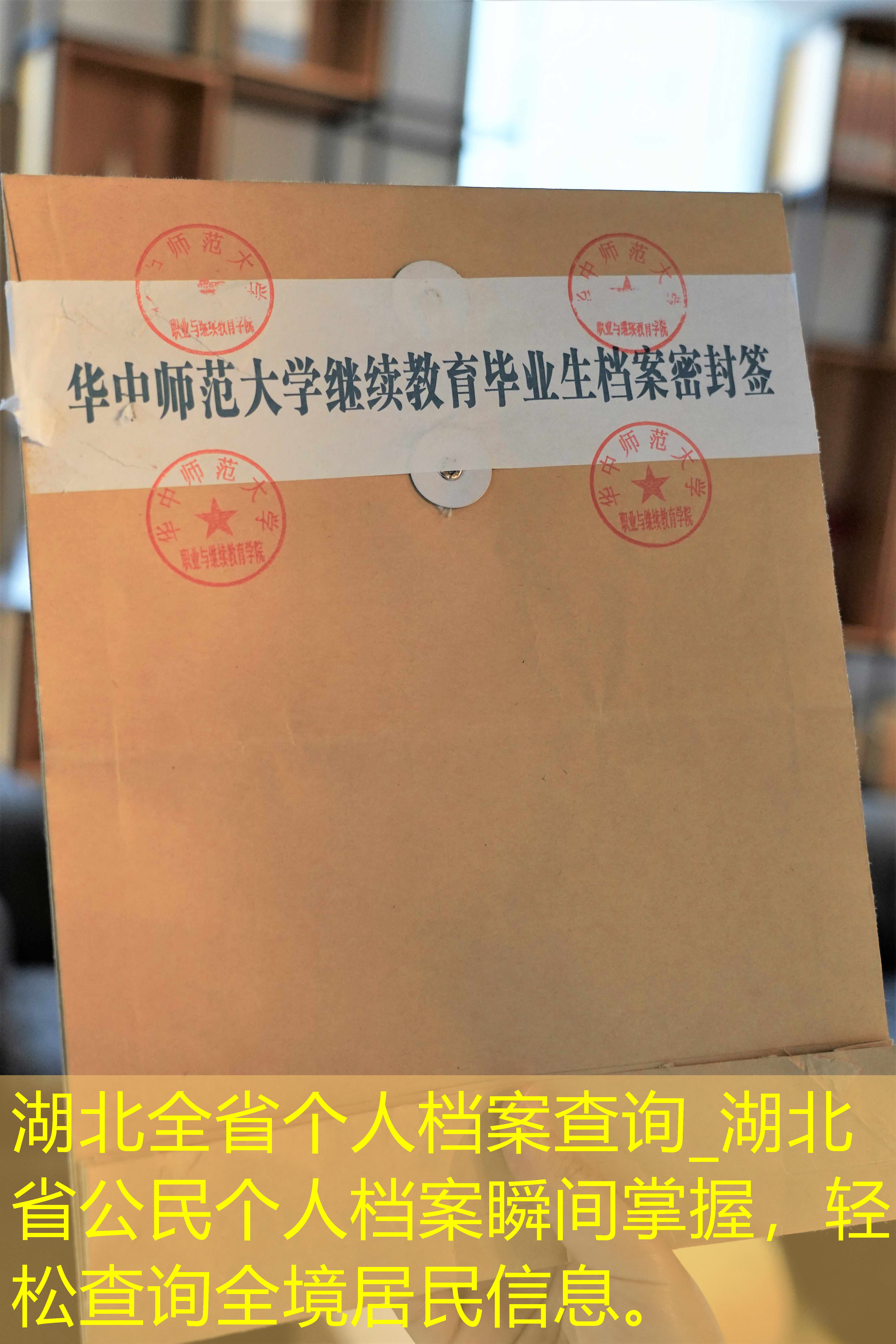 档案查询
