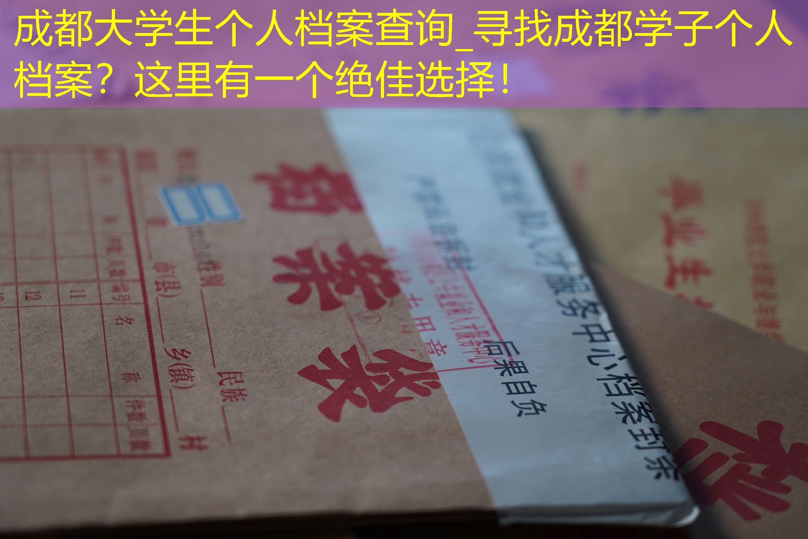 档案查询