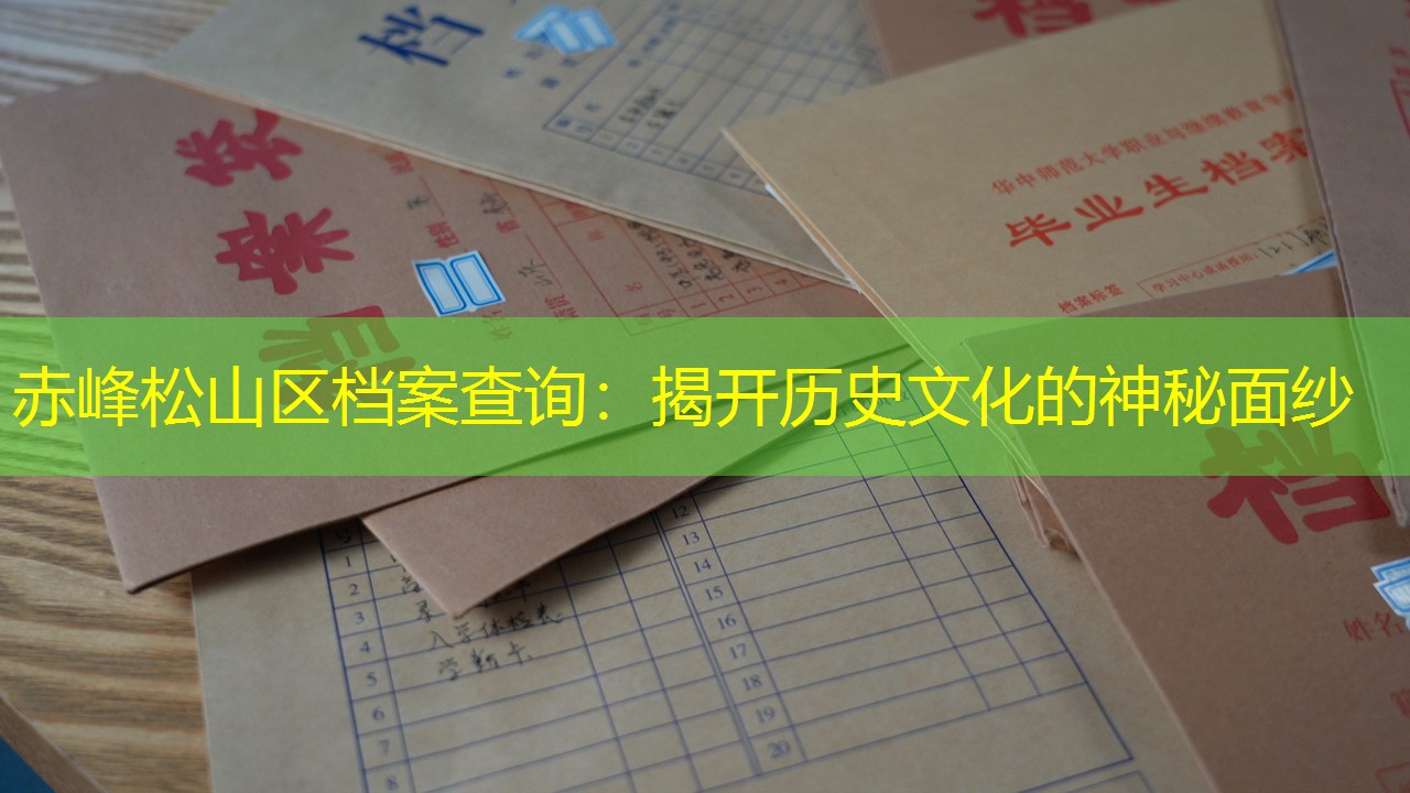 档案查询