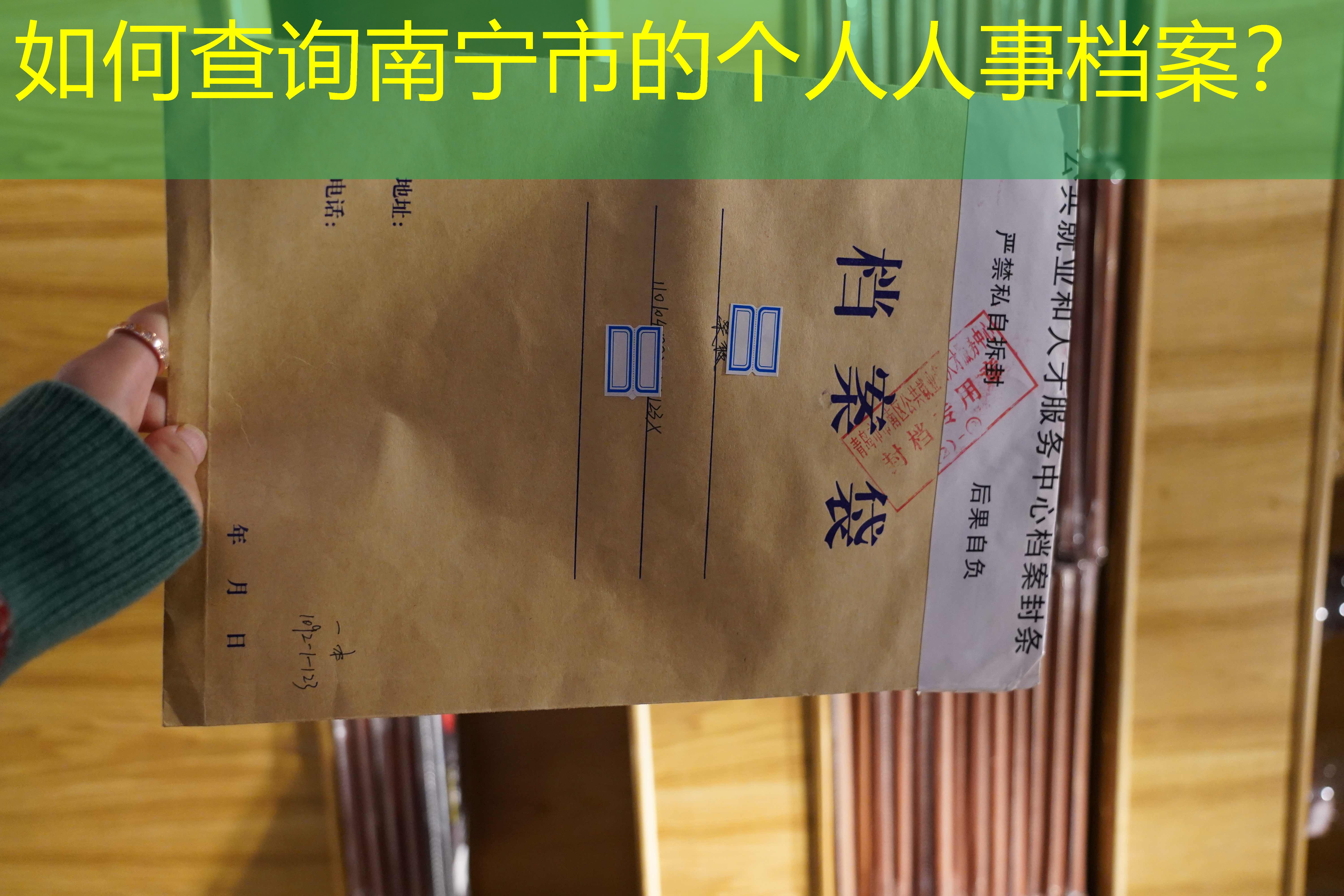 档案查询