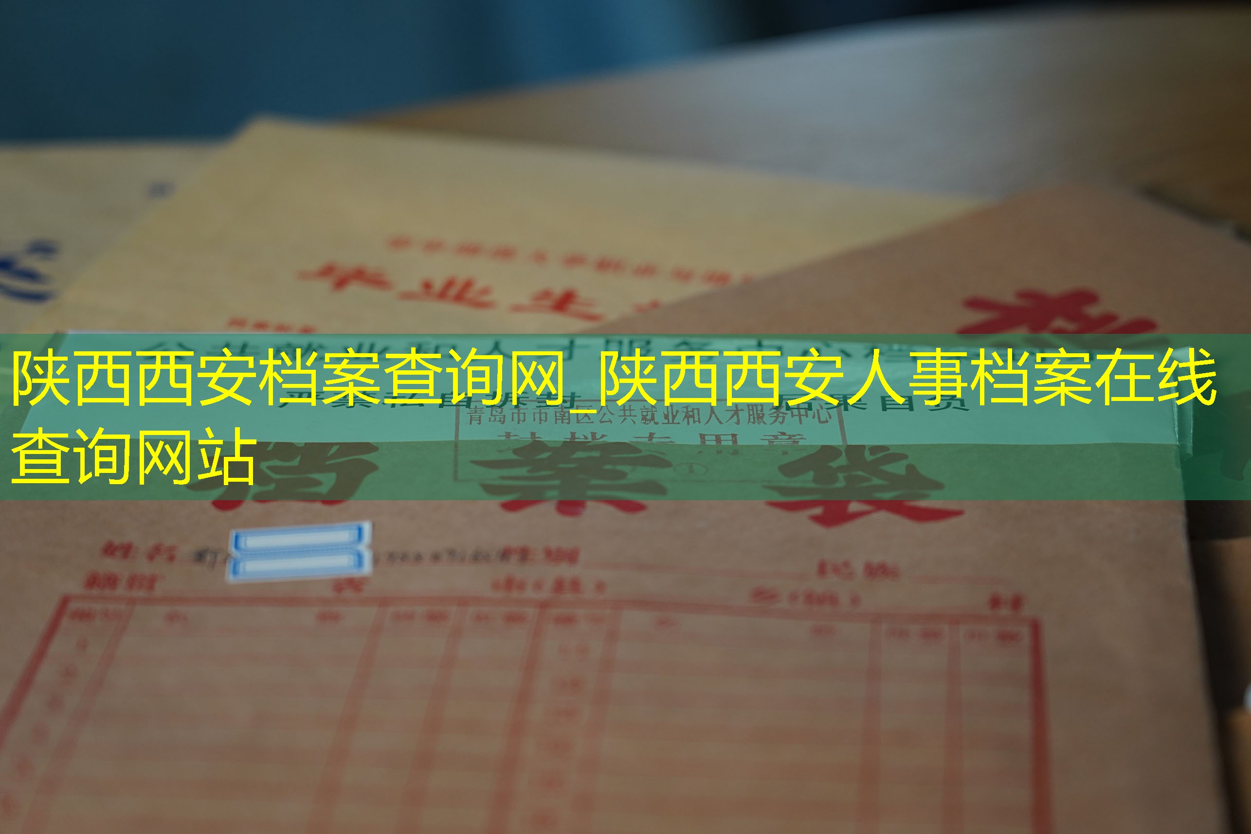 档案查询