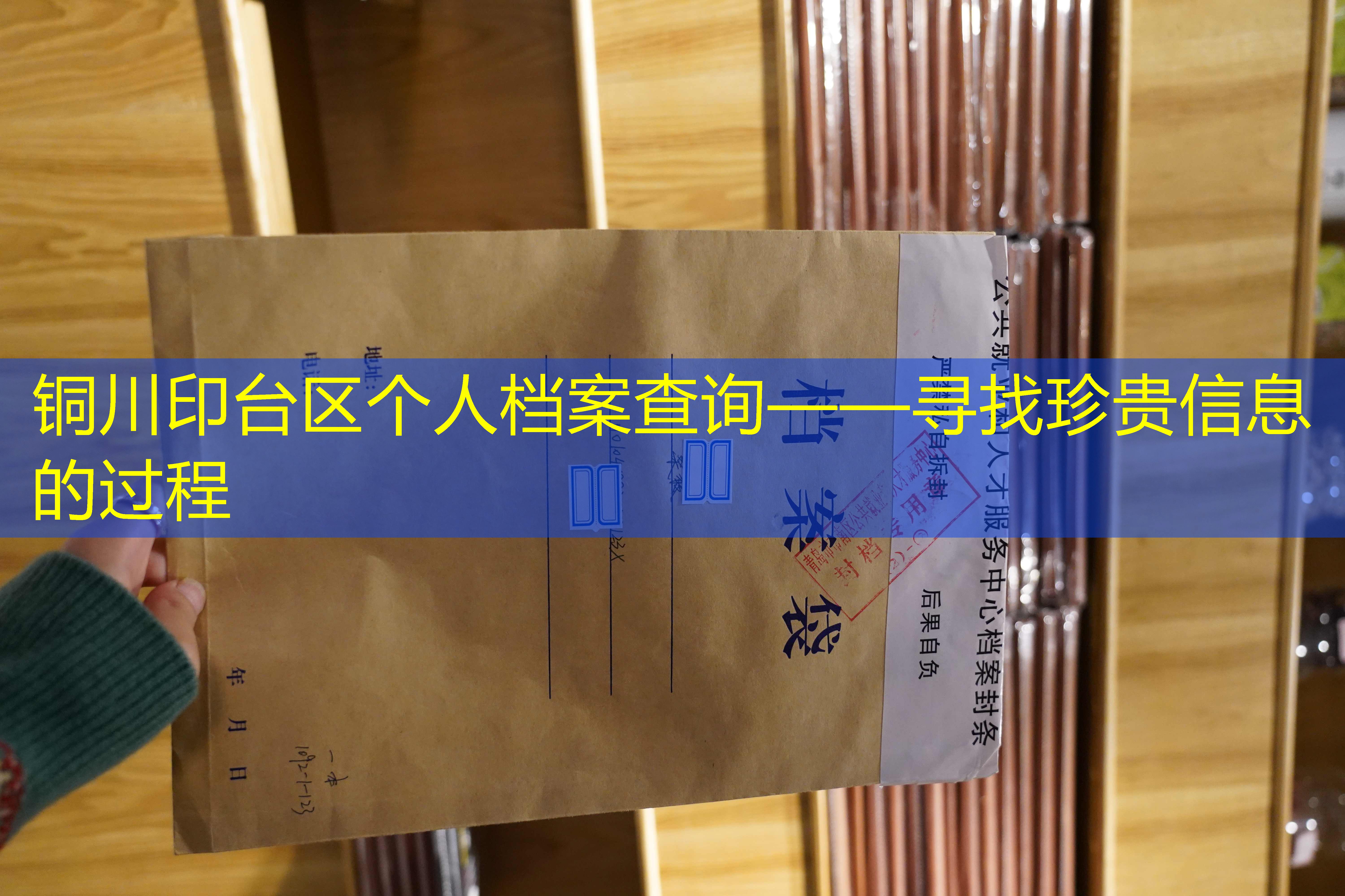 档案查询
