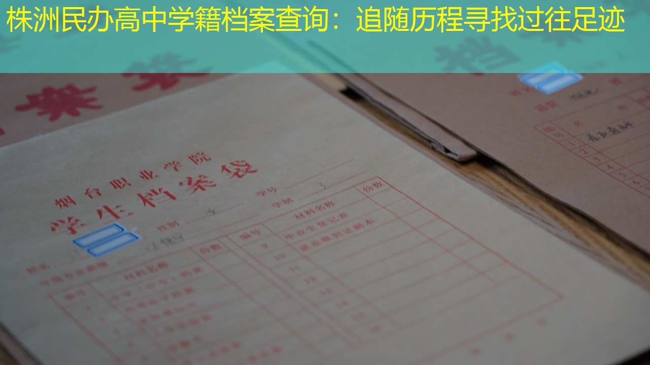 档案查询