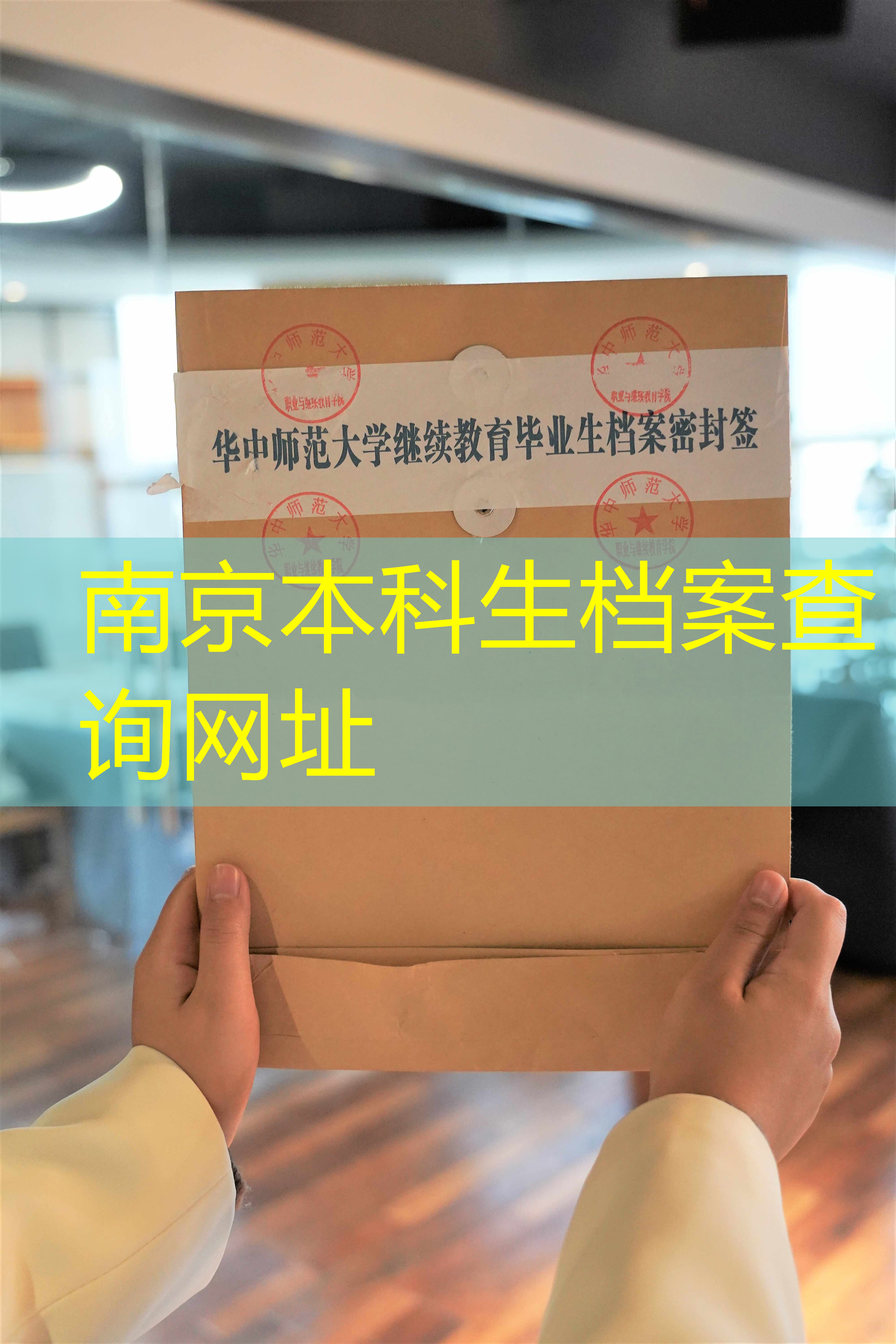 档案查询