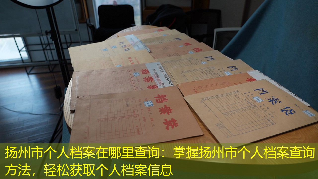 档案查询