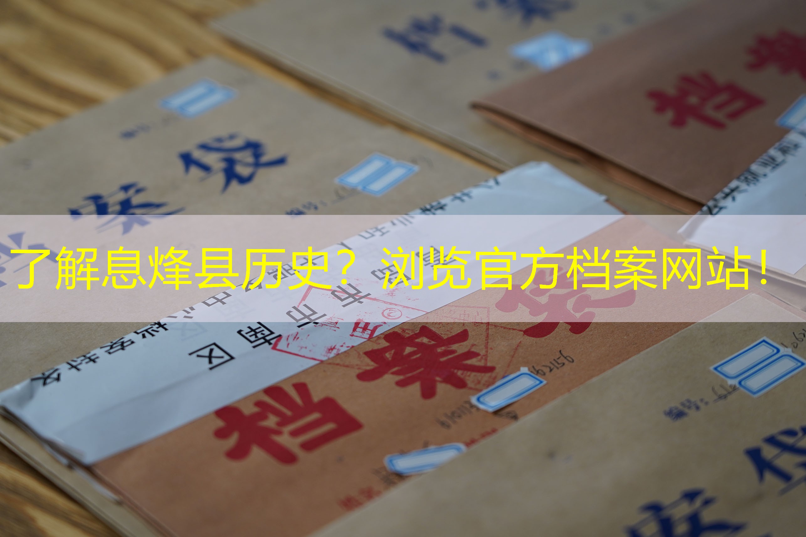 档案查询