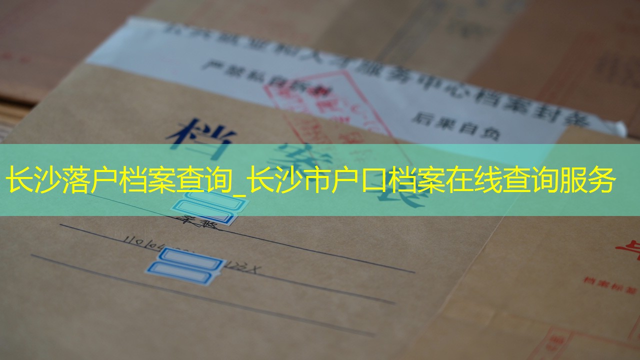 档案查询