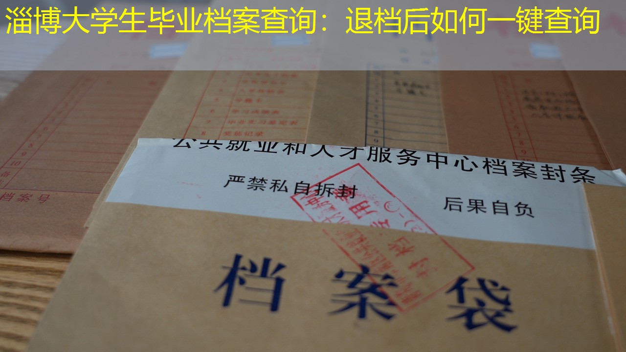 档案查询
