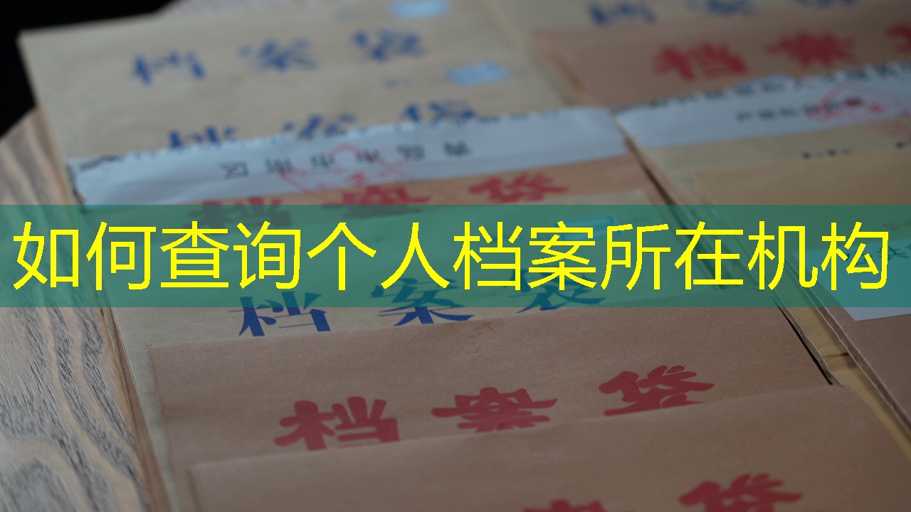 档案查询