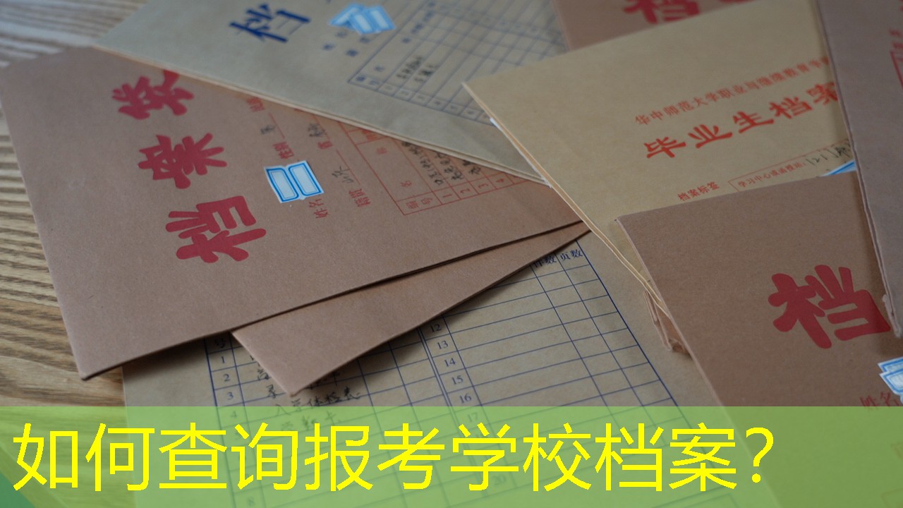 档案查询