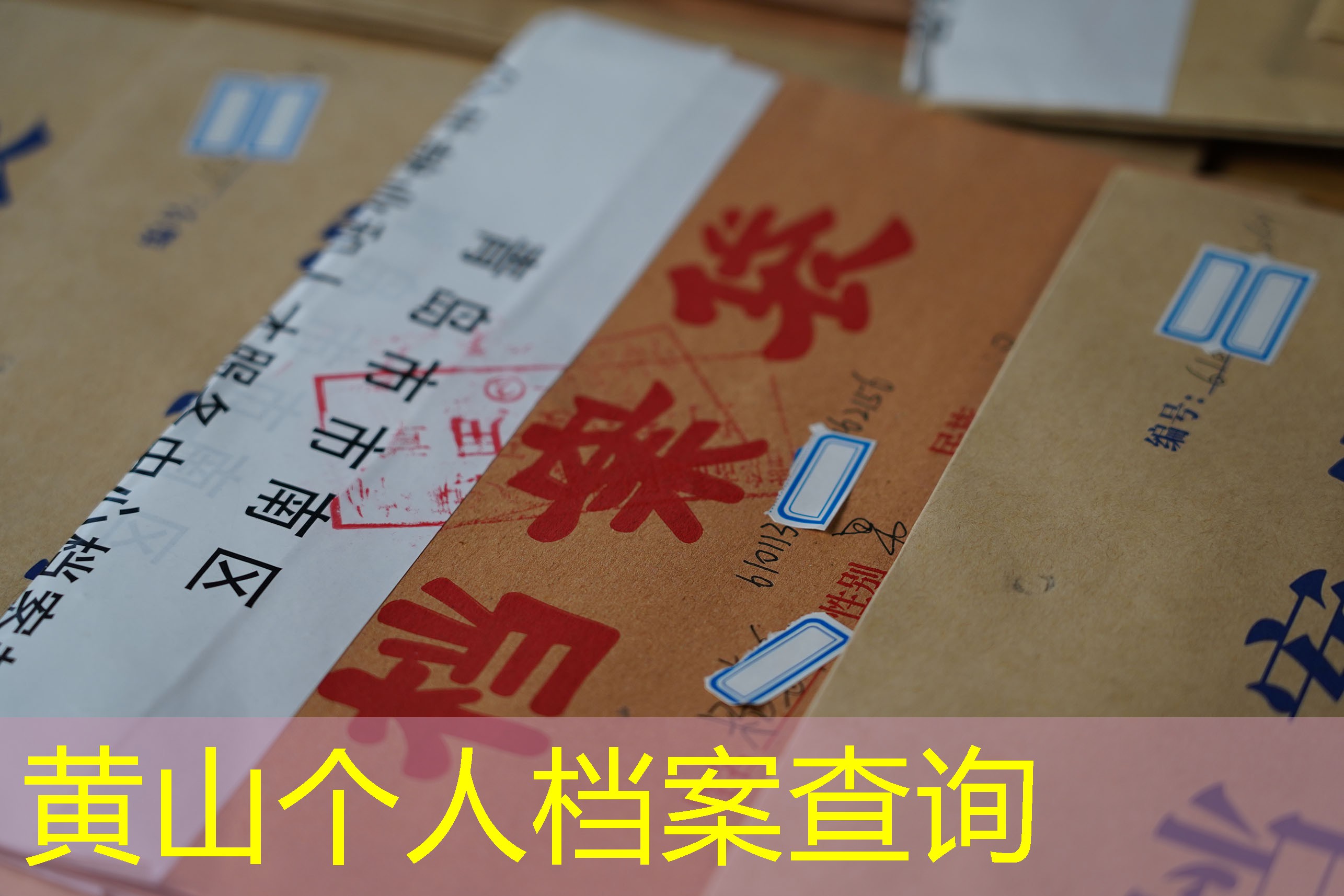 档案查询