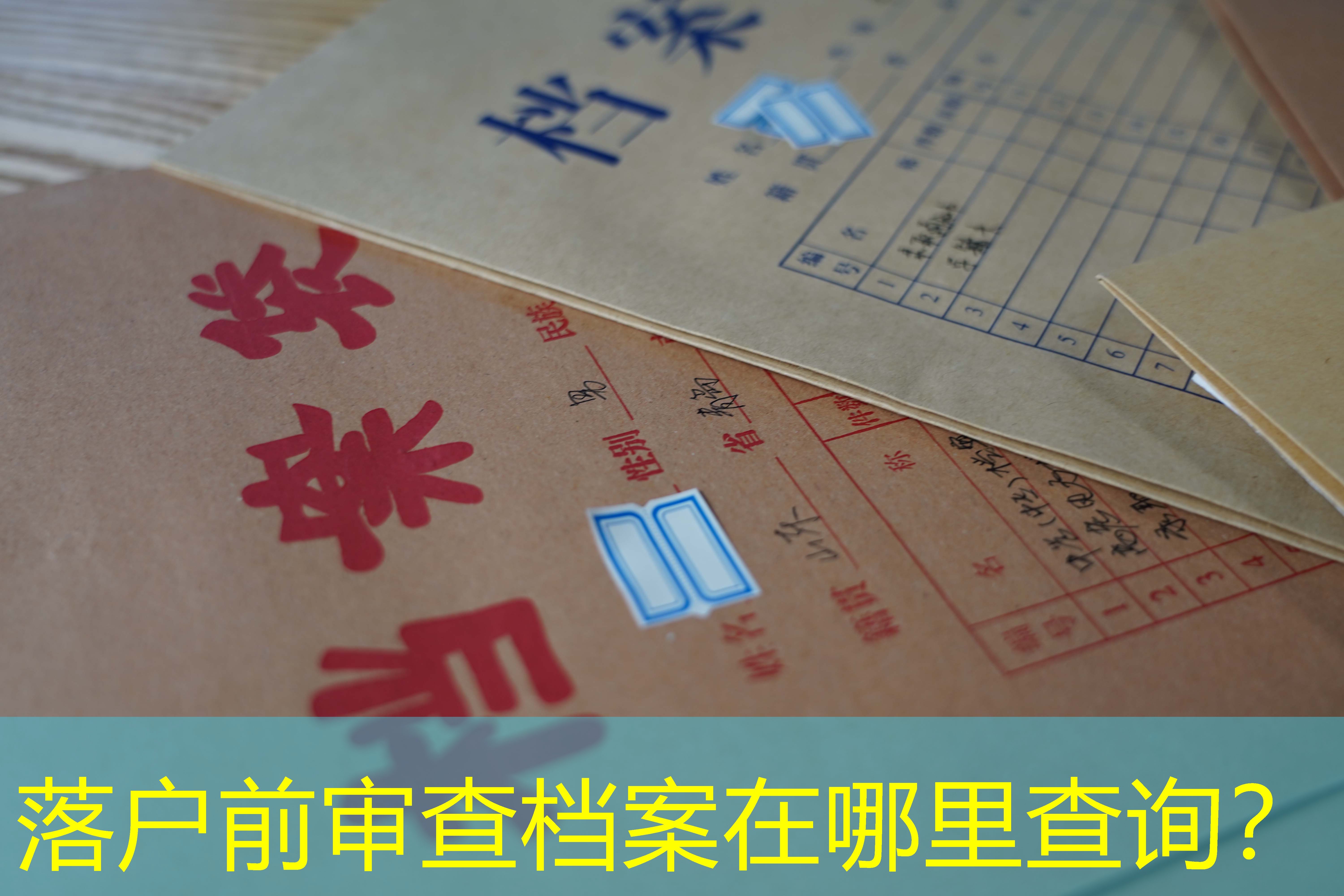 档案查询
