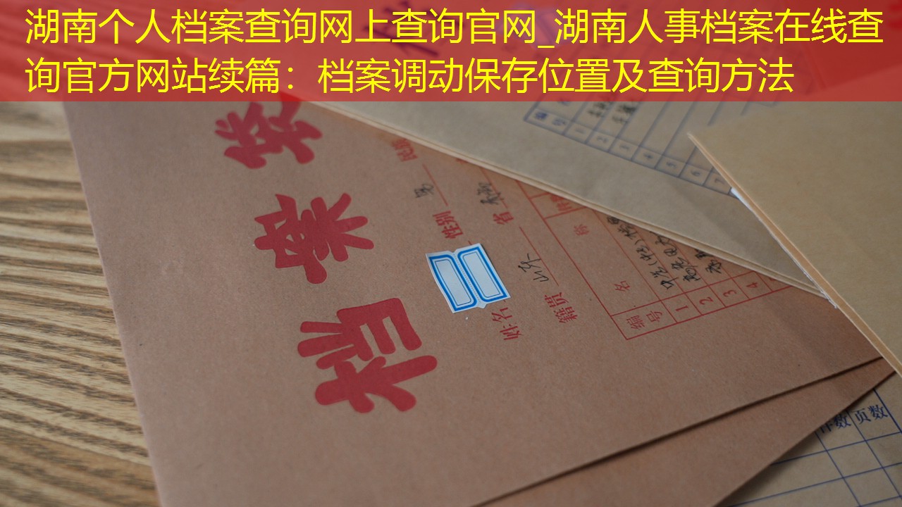 档案查询