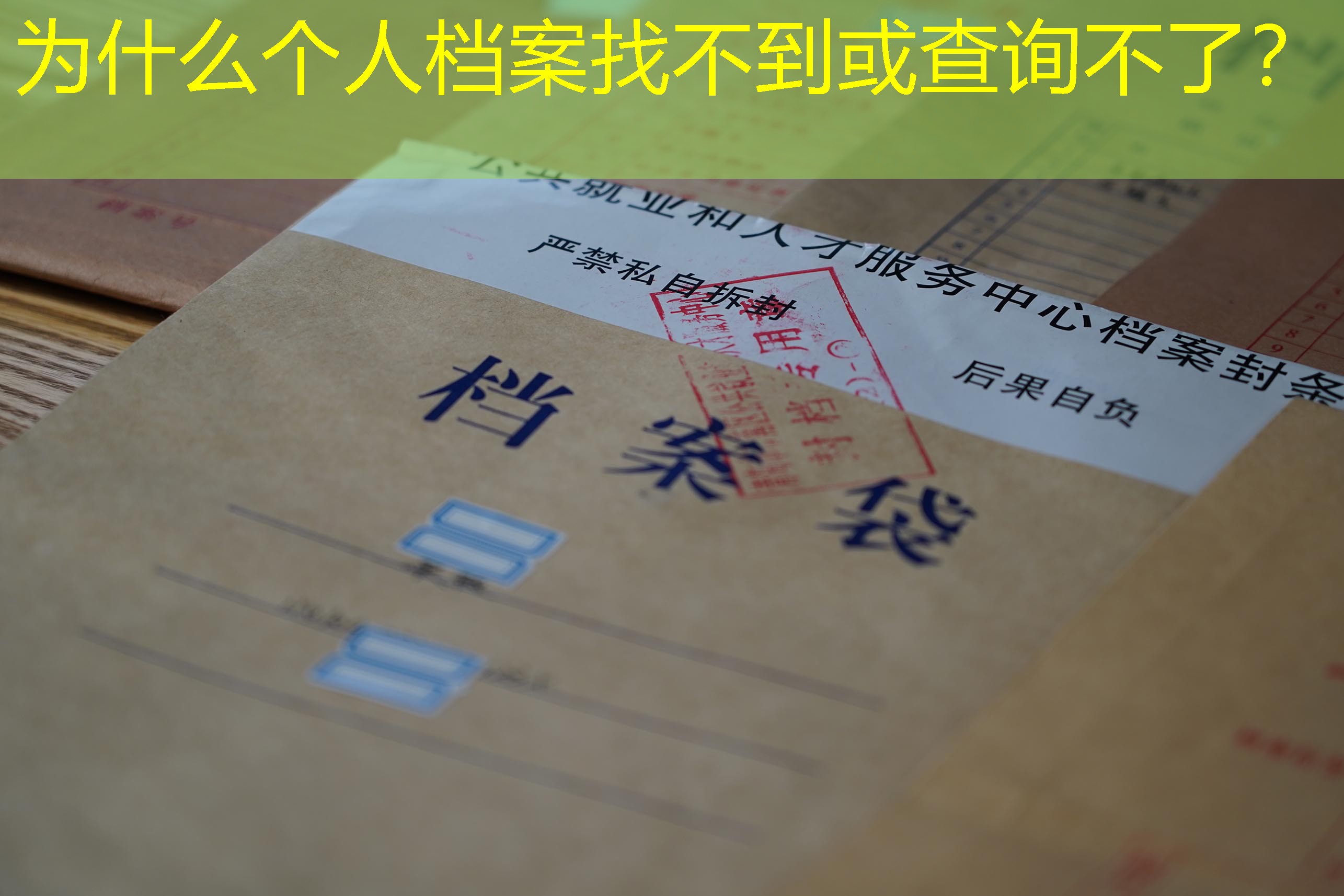 档案查询