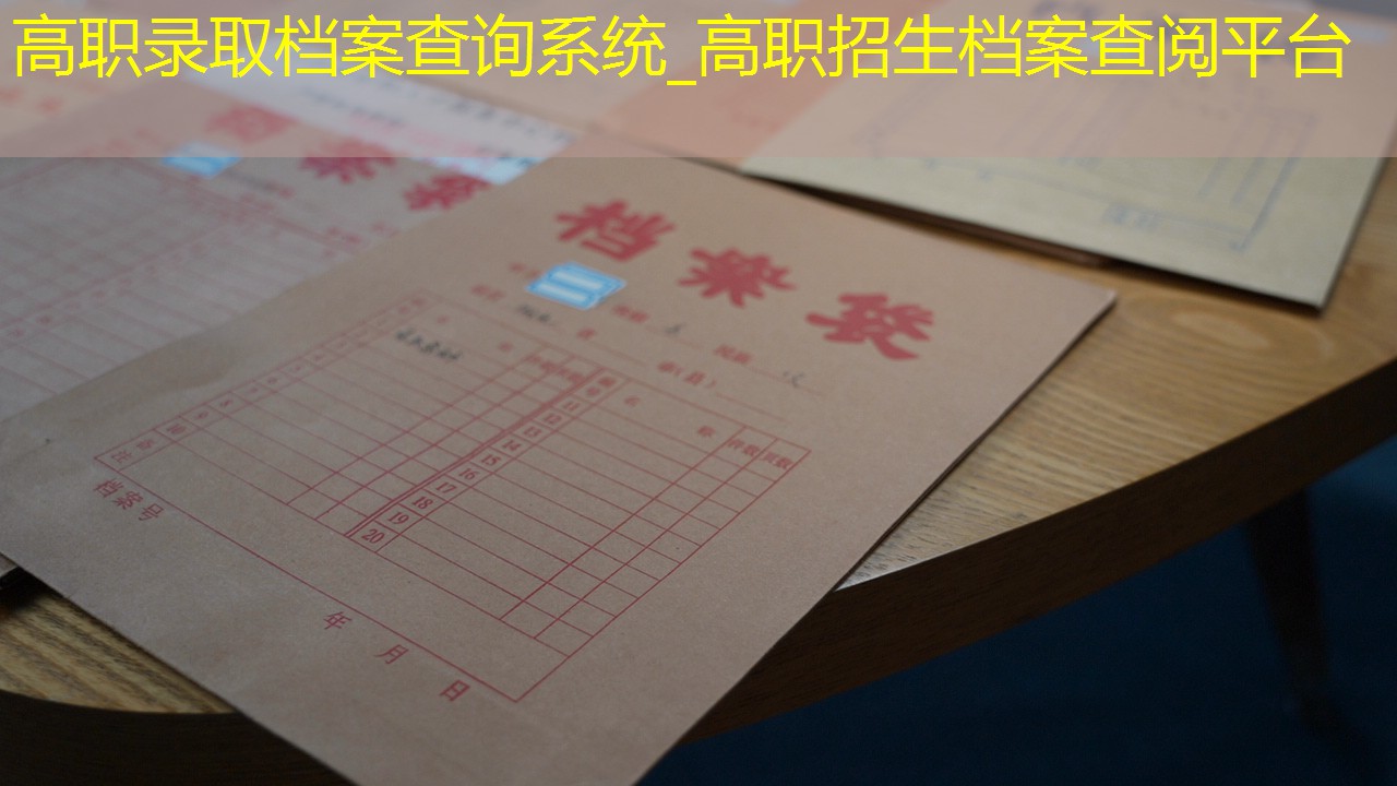 档案查询
