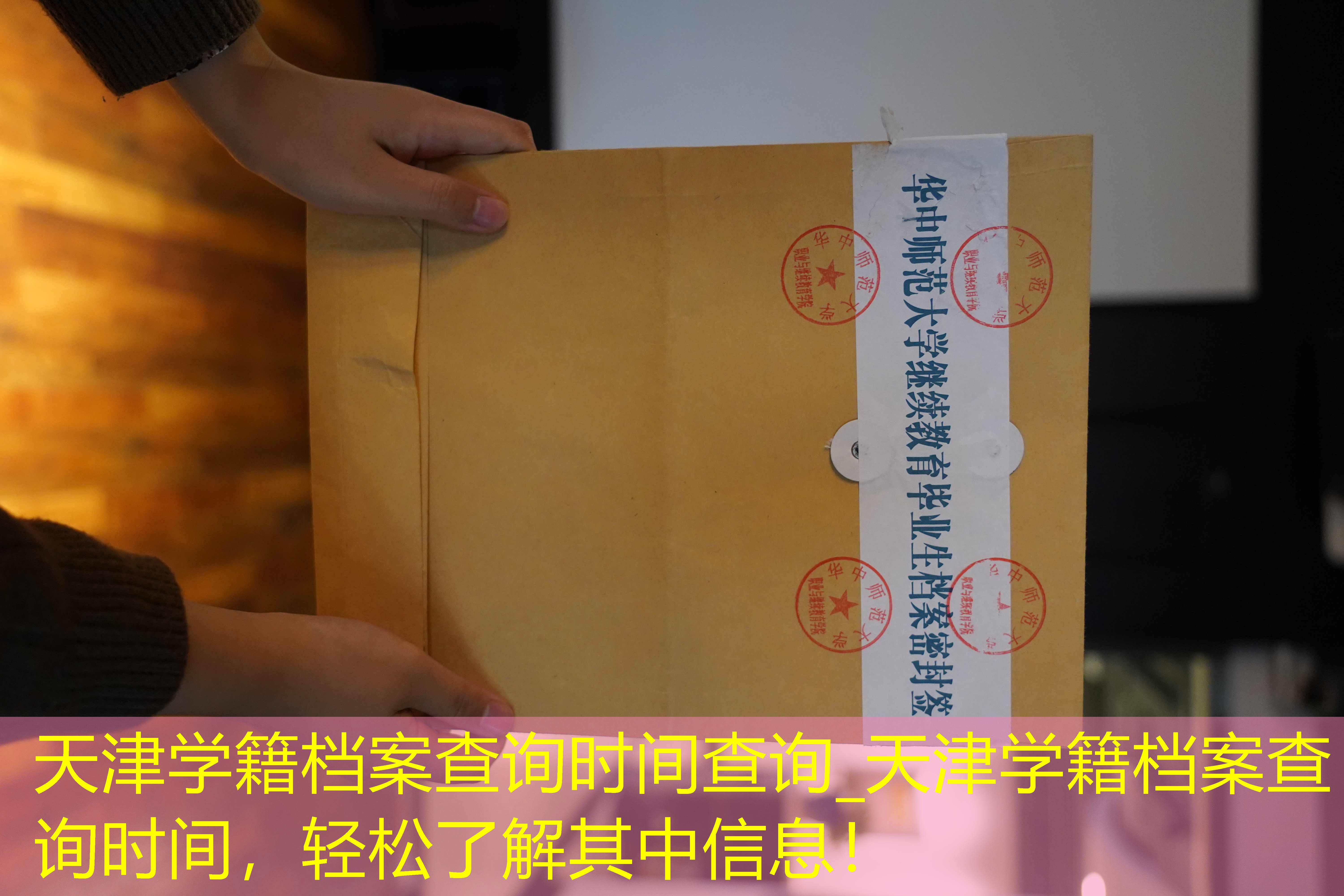 档案查询