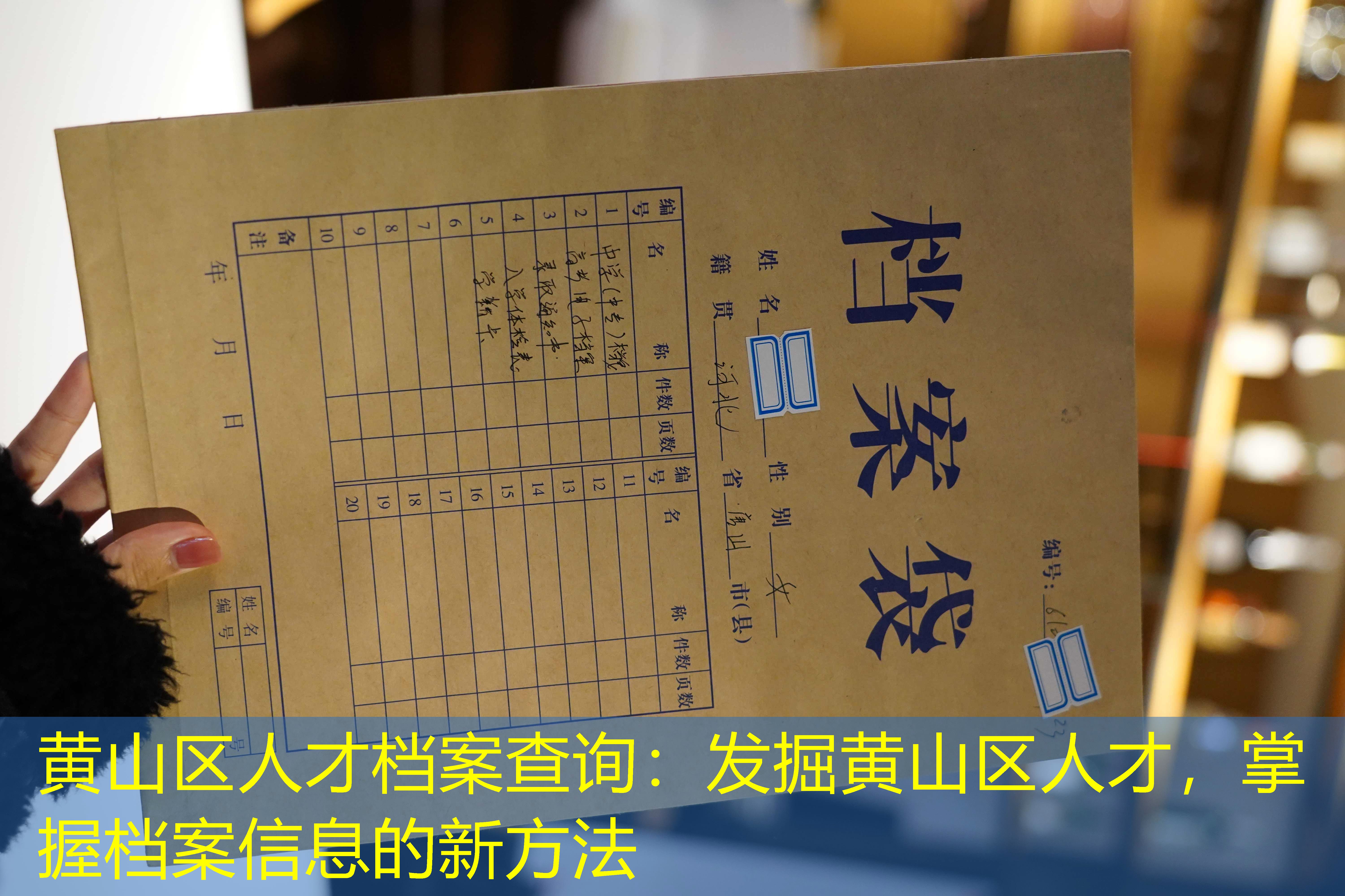 档案查询