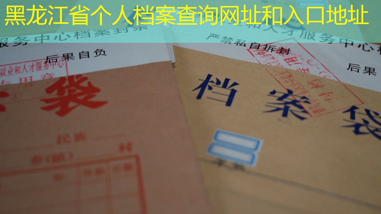 档案查询