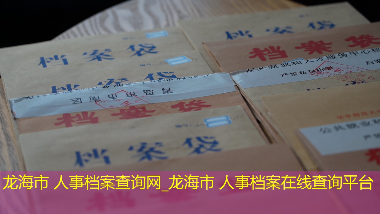 档案查询