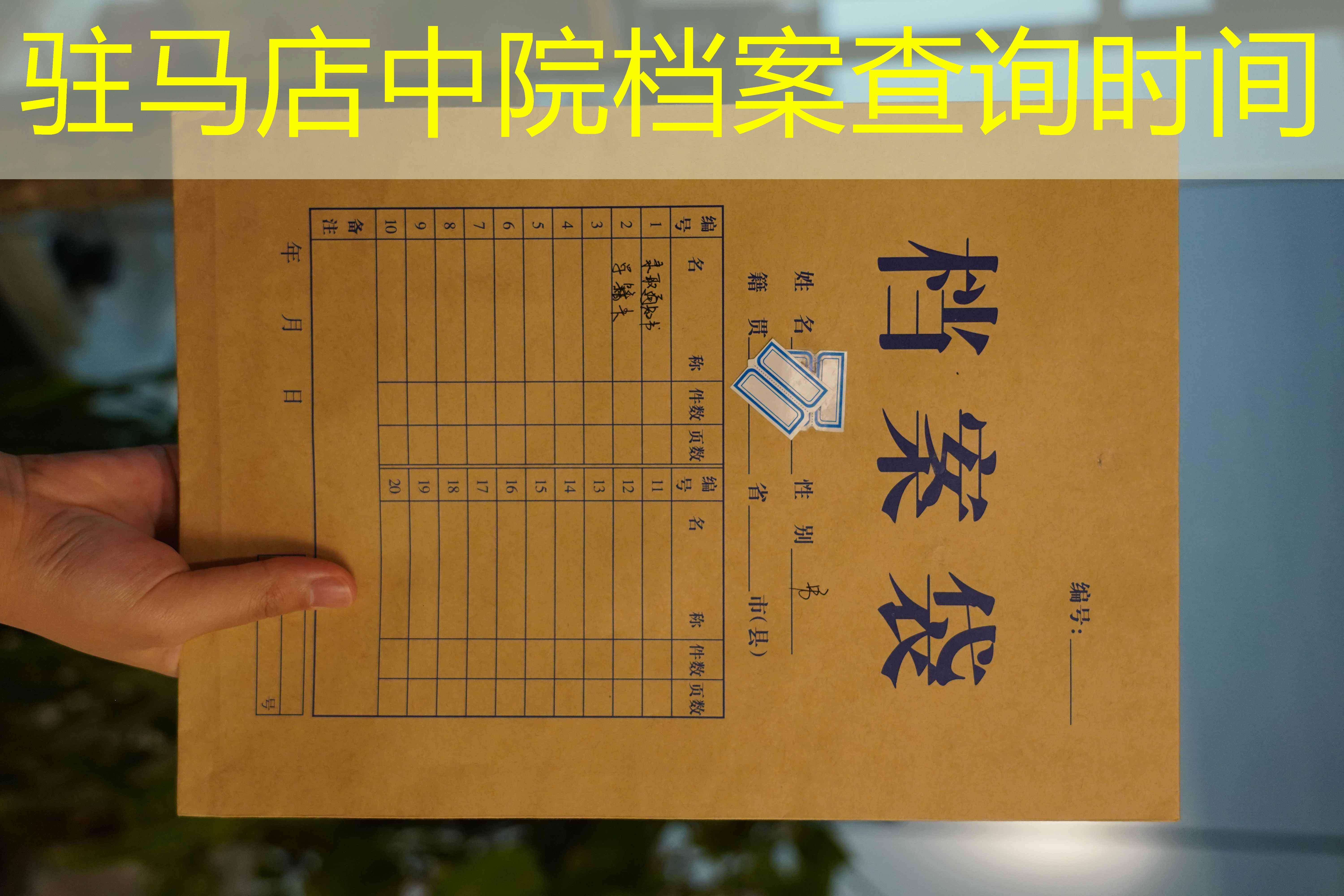 档案查询