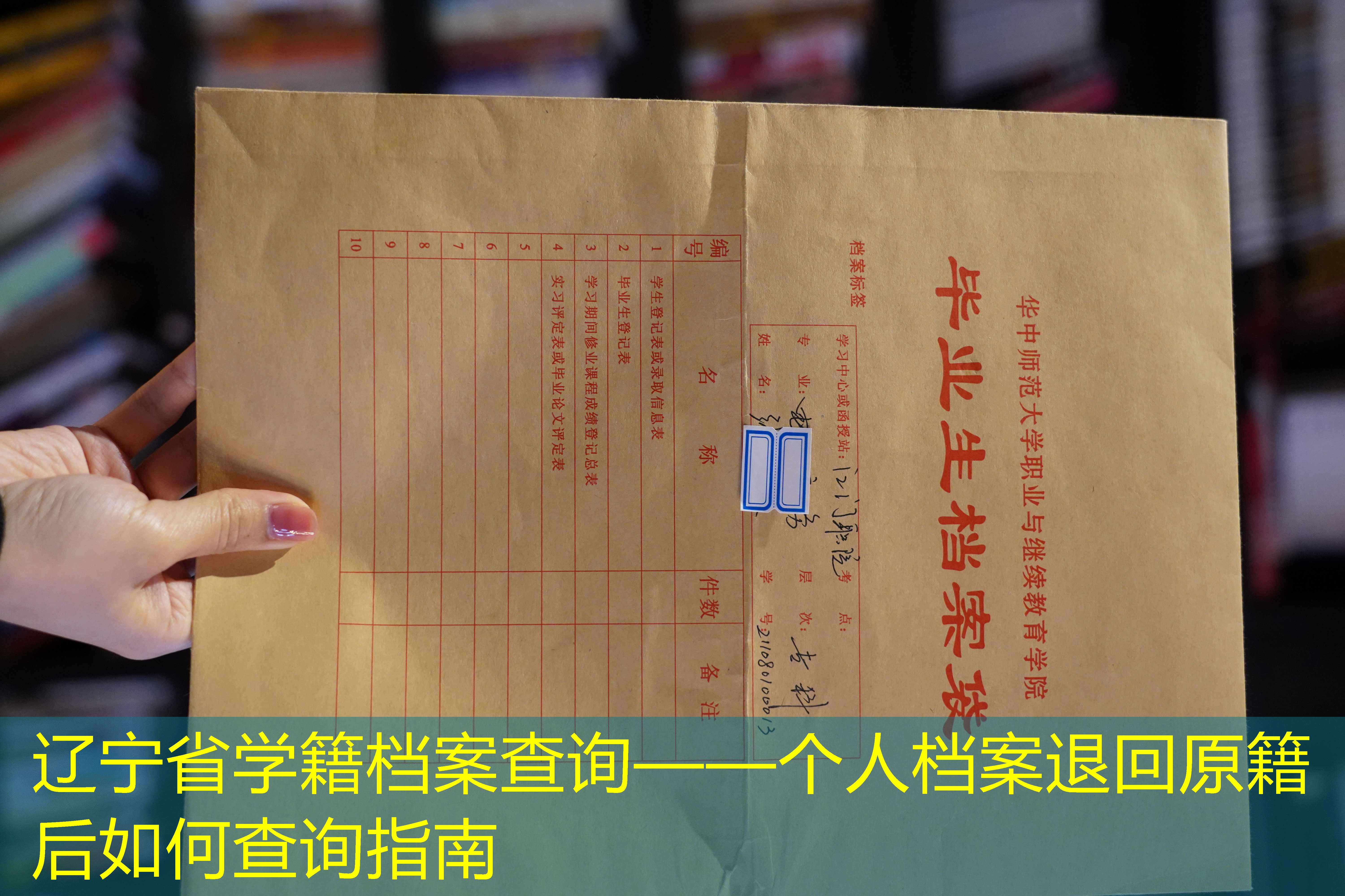 档案查询