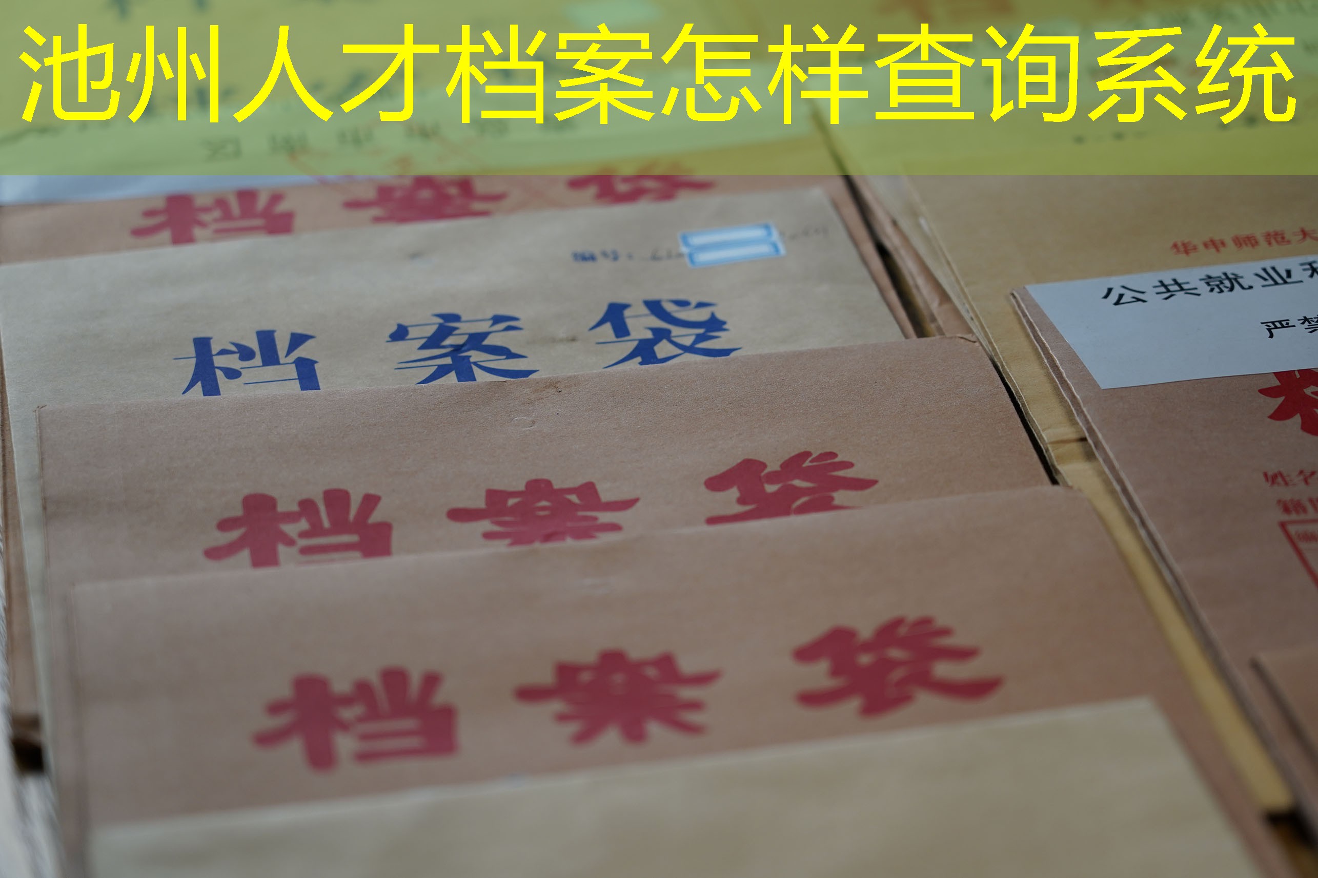 档案查询