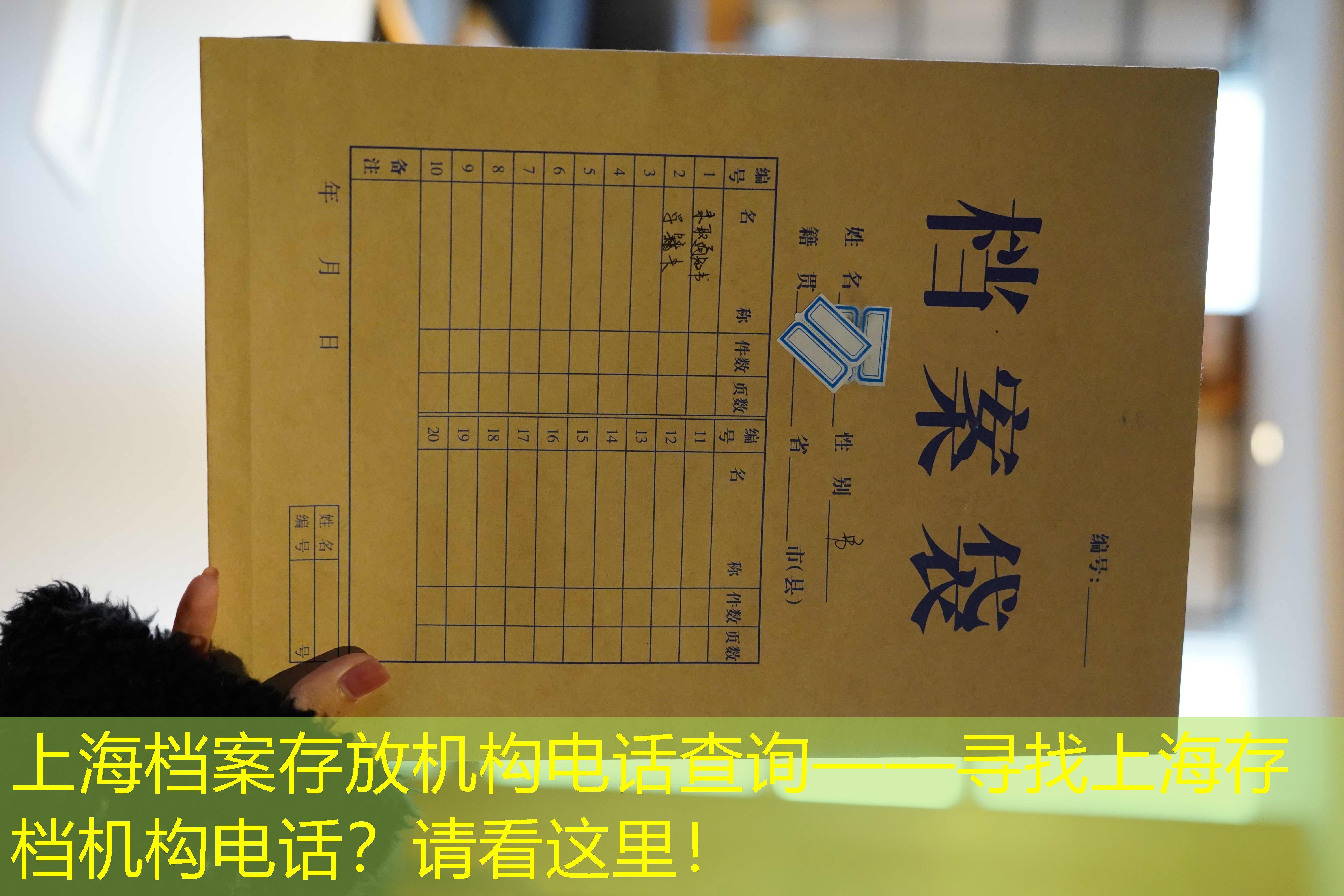 档案查询