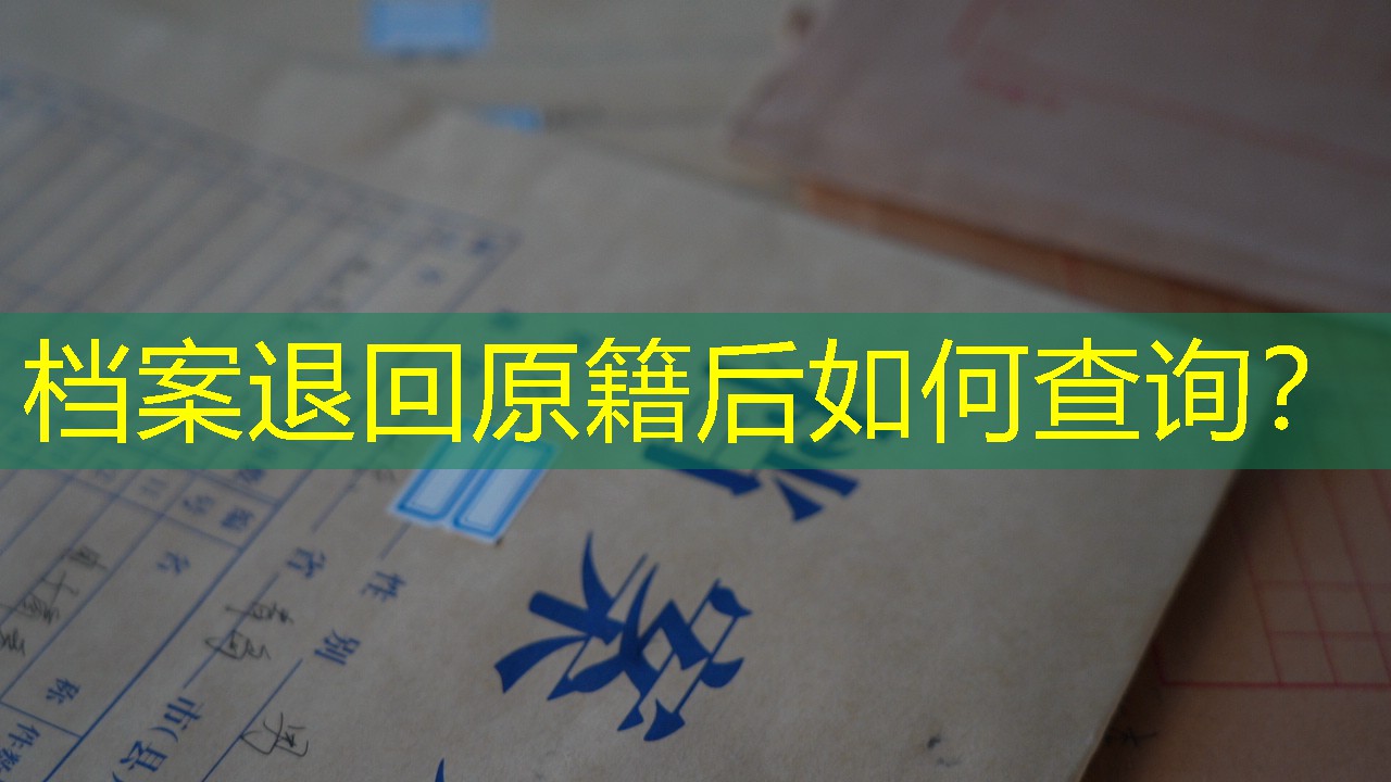 档案查询