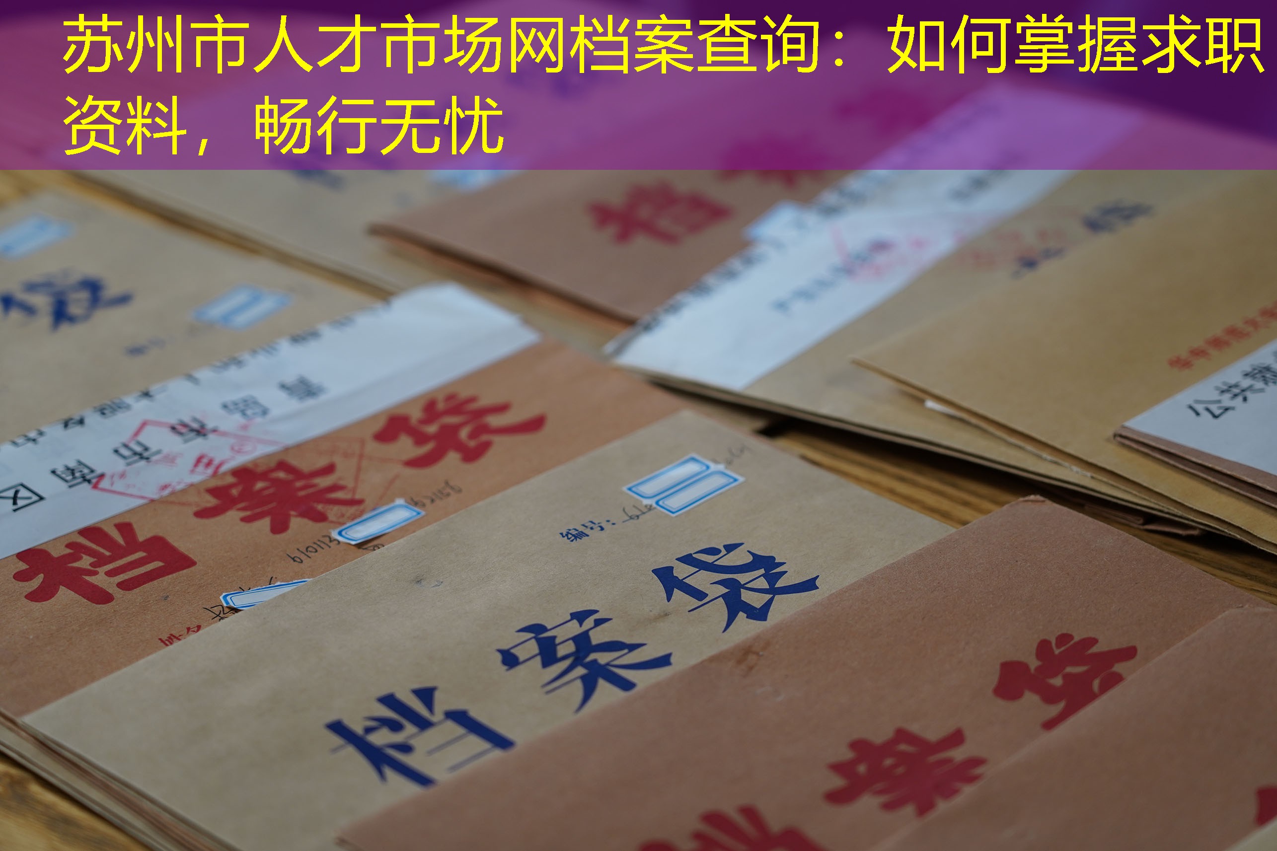 档案查询