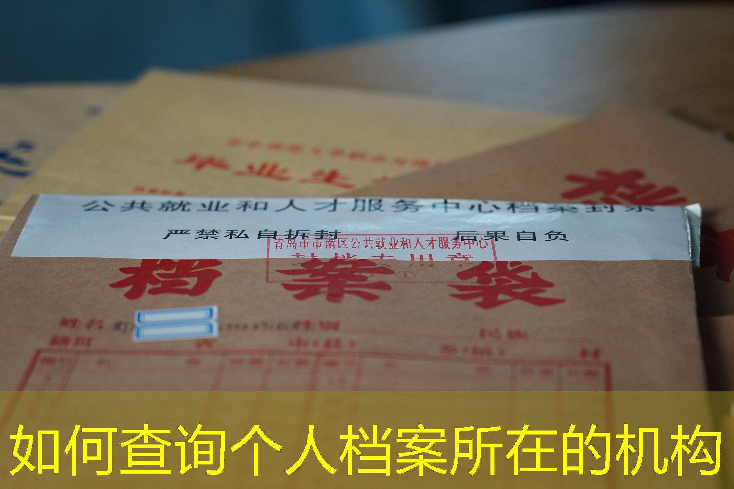 档案查询