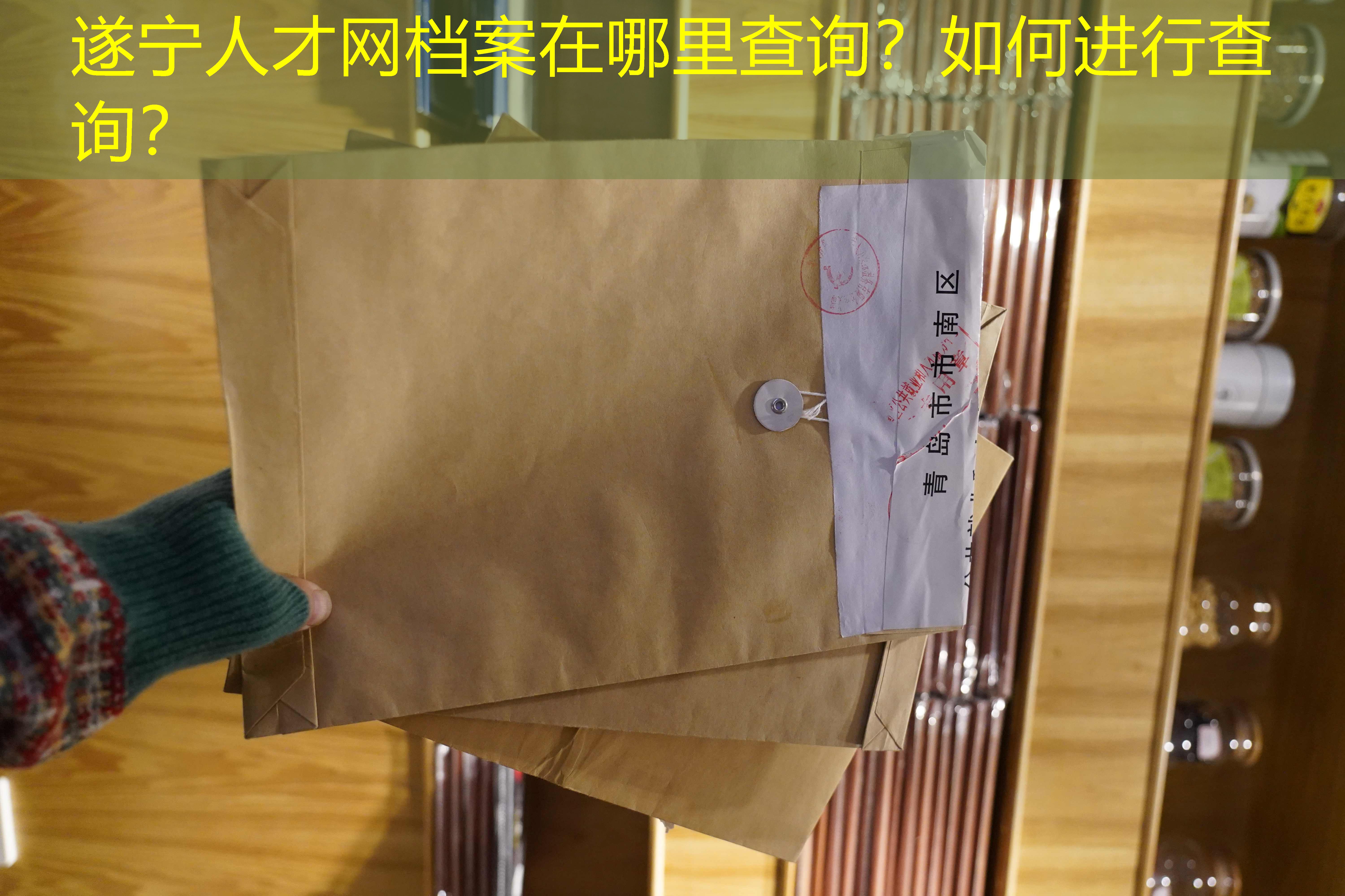 档案查询