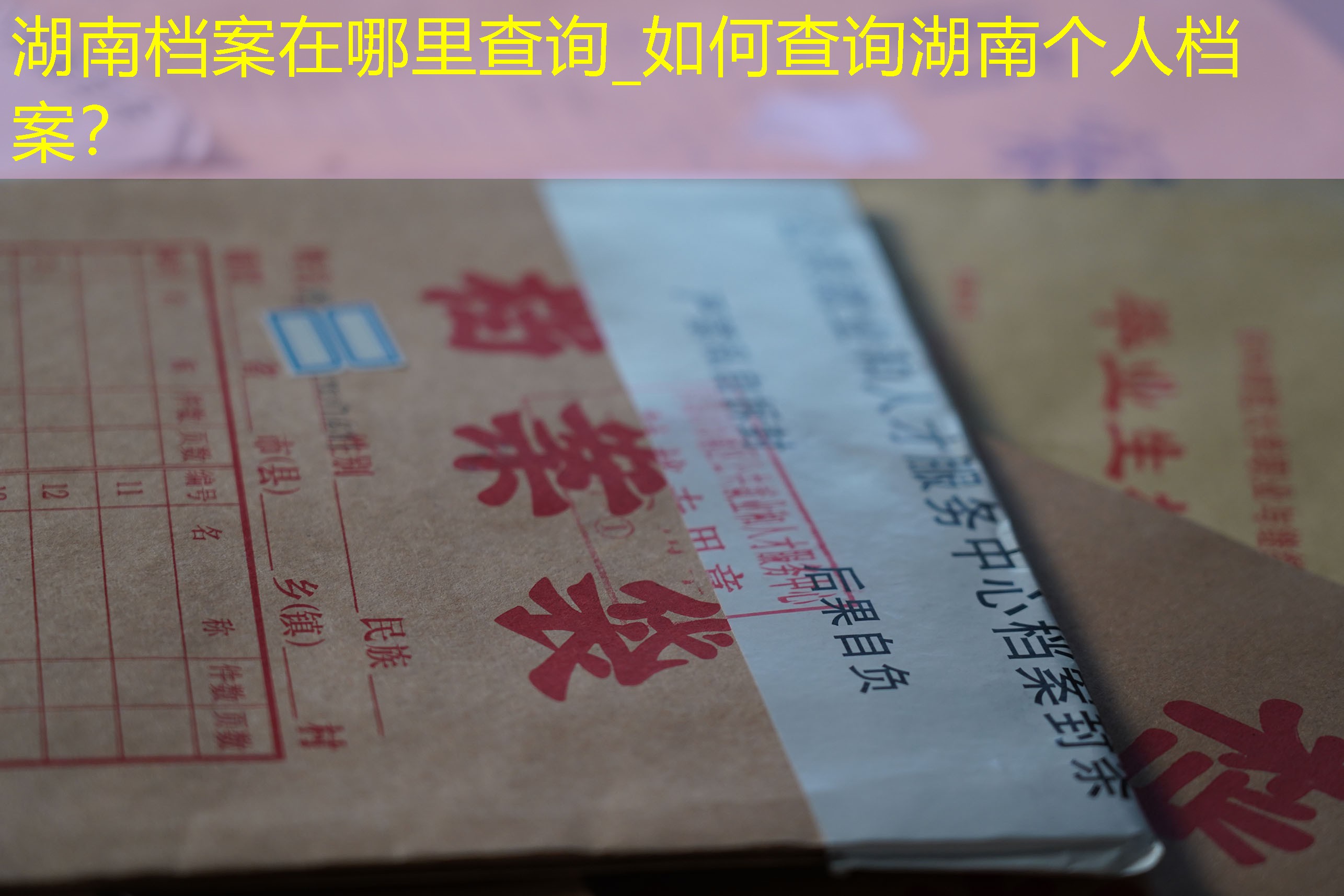 档案查询