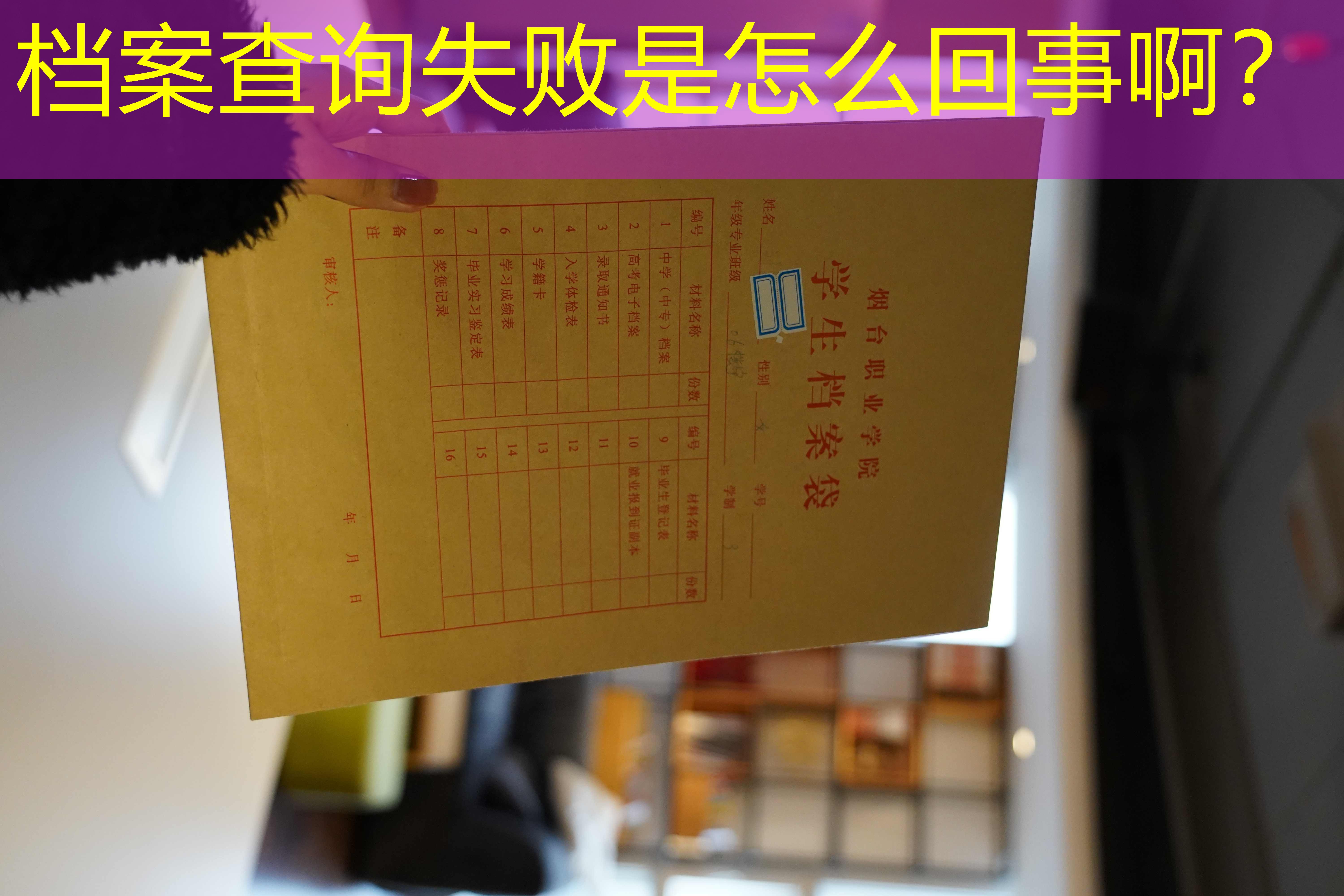 档案查询
