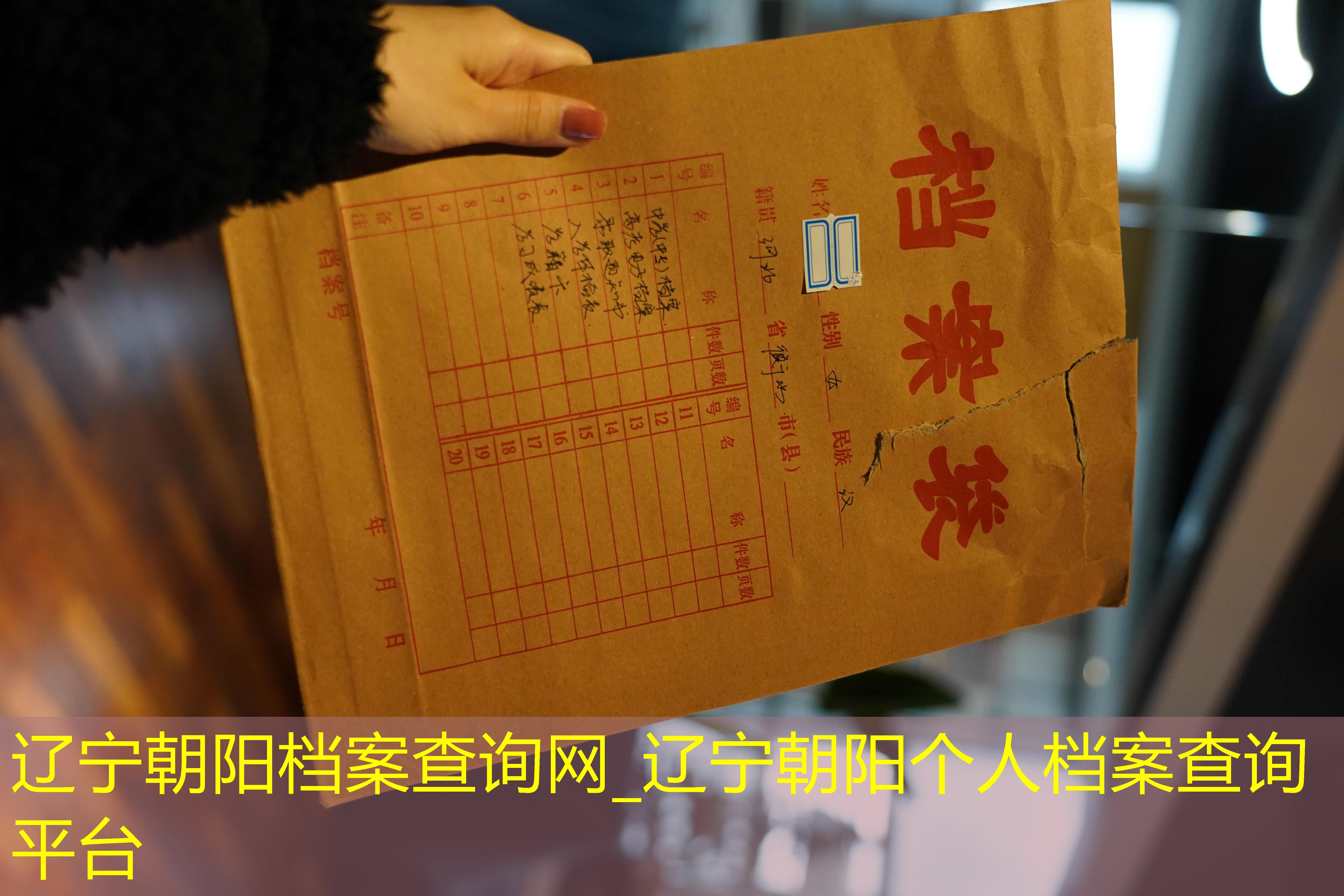 档案查询
